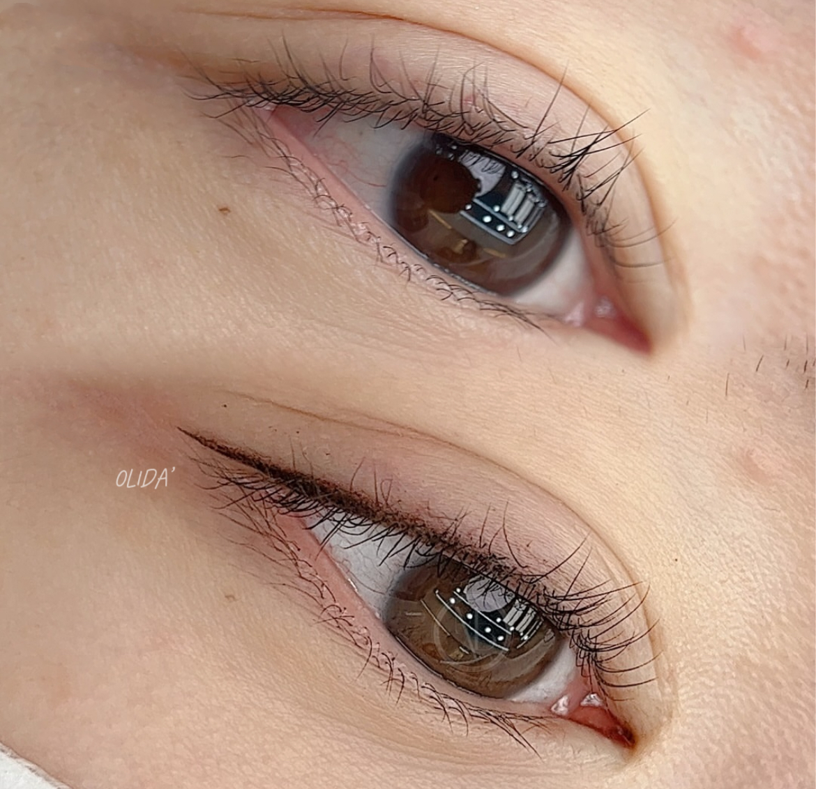 올리다 대표 이미지