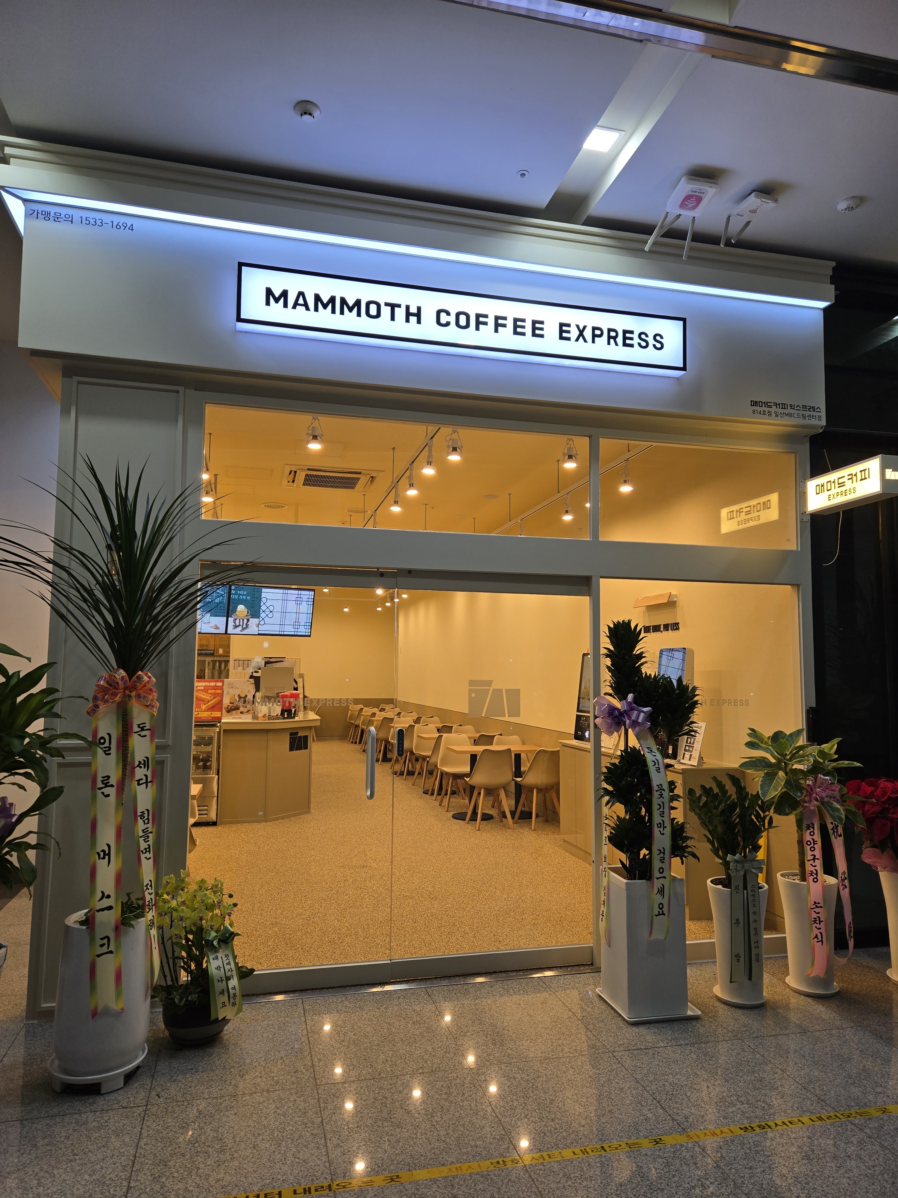 매머드익스프레스 일산MBC드림센터점