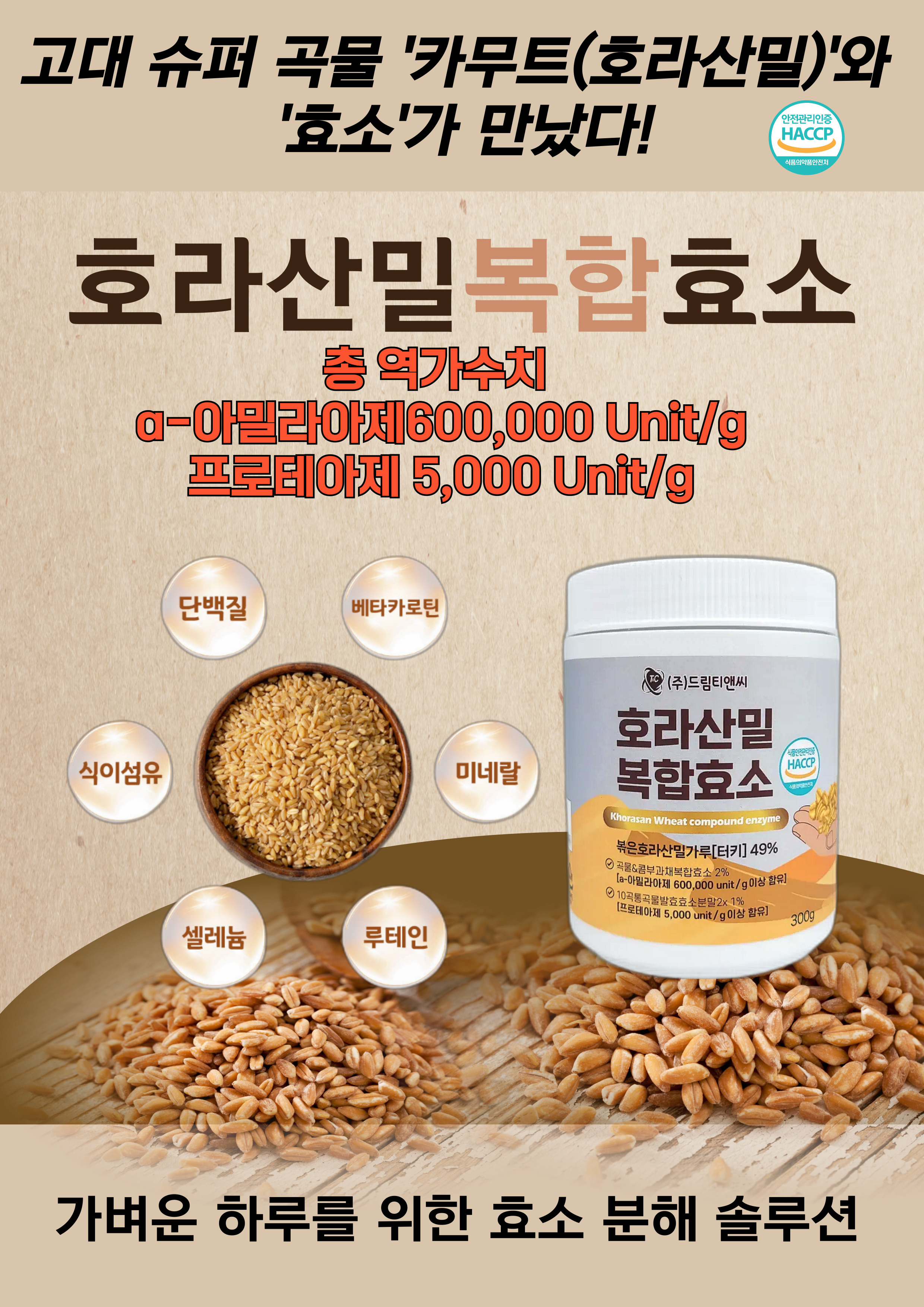 드림티앤씨