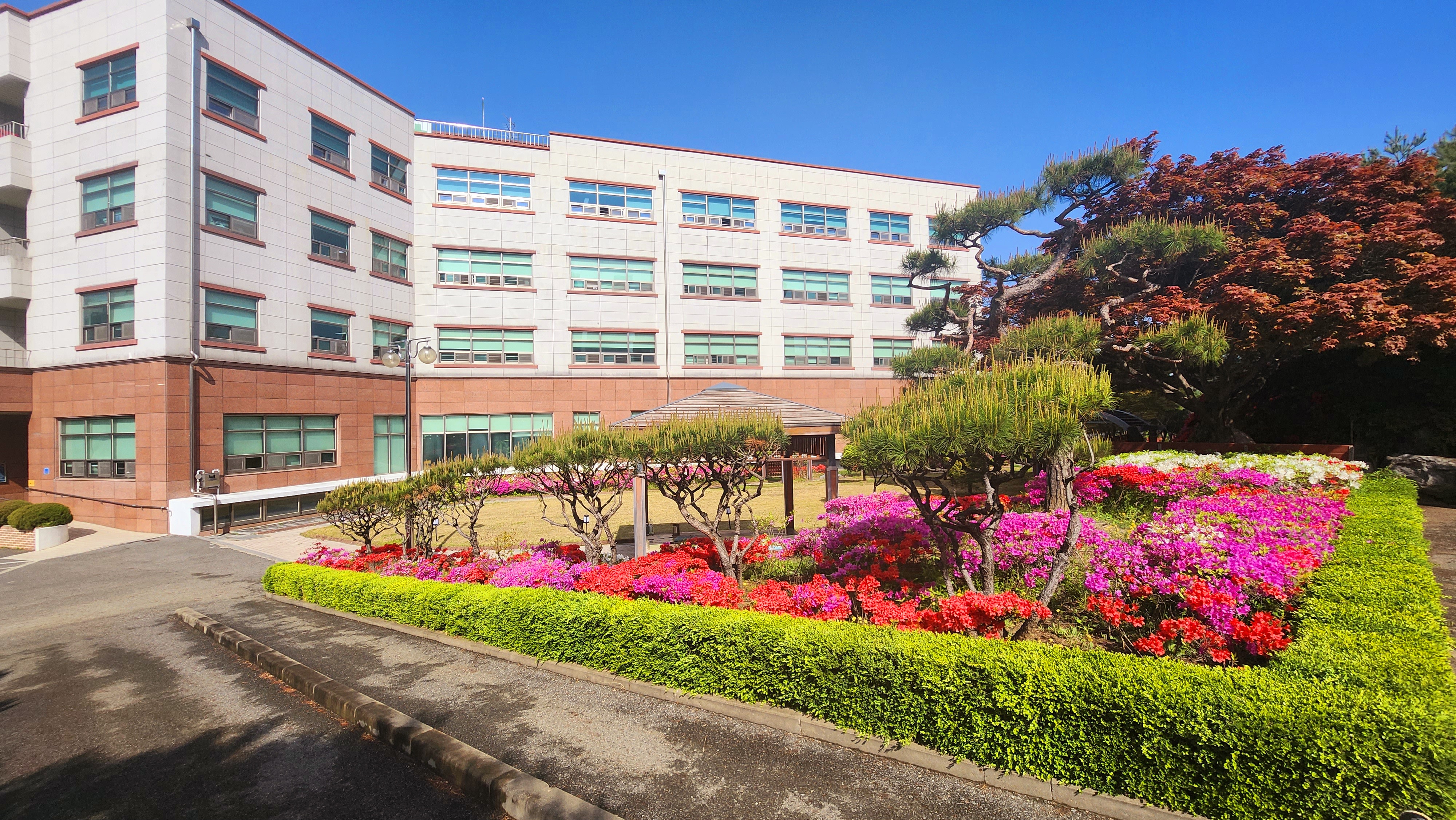 새봄요양병원 대표 이미지