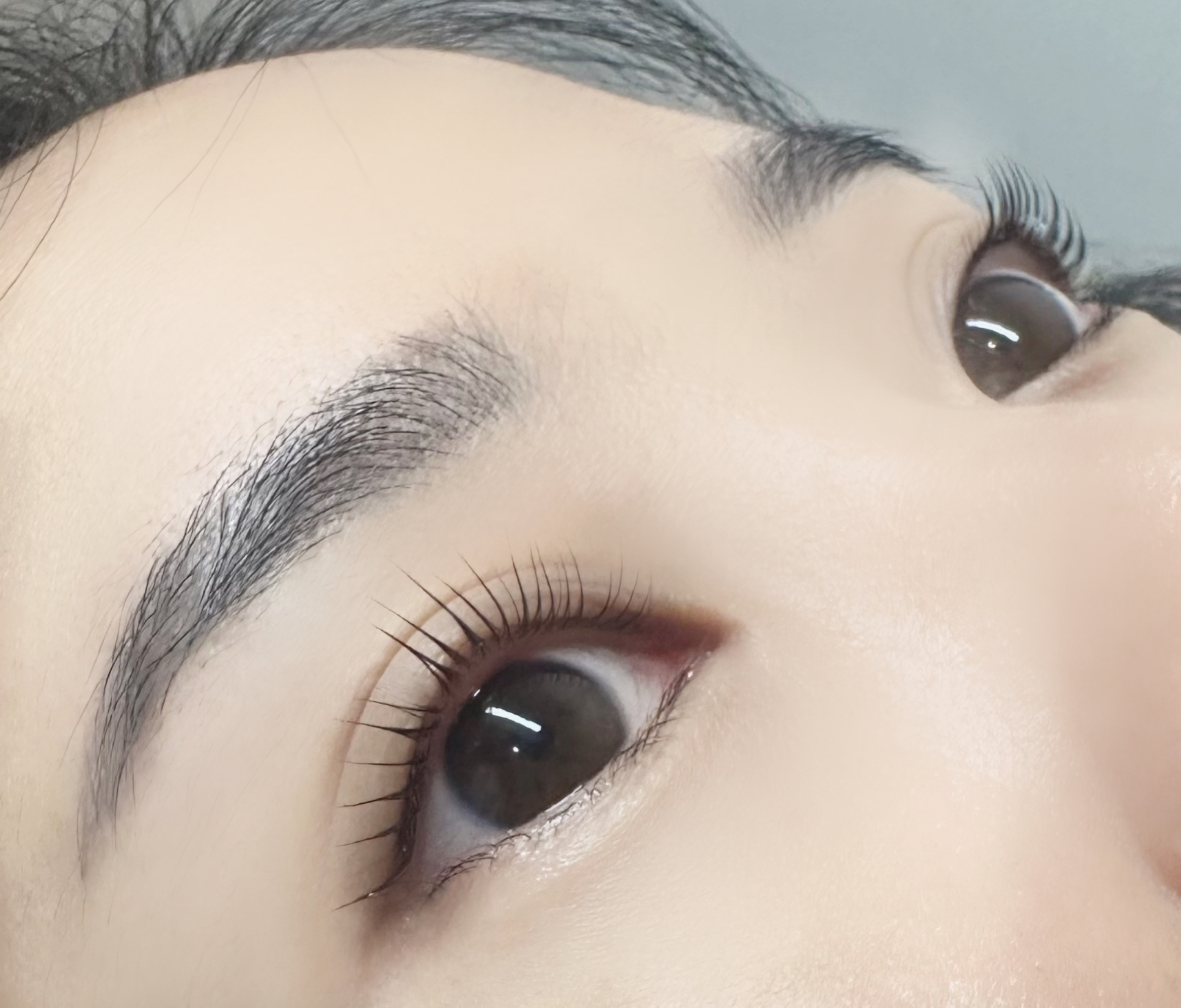 다온뷰티