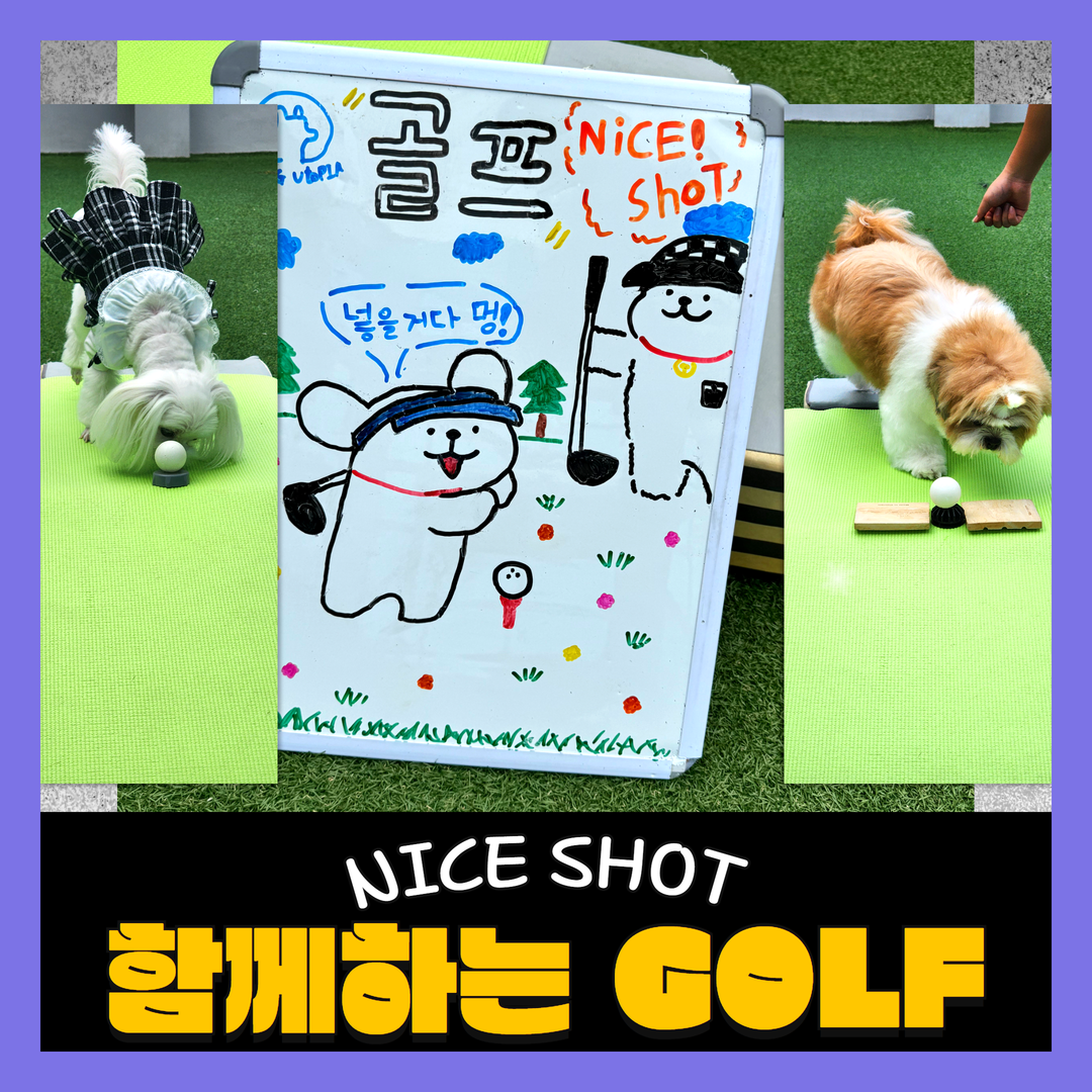 도그유토피아 대표 이미지