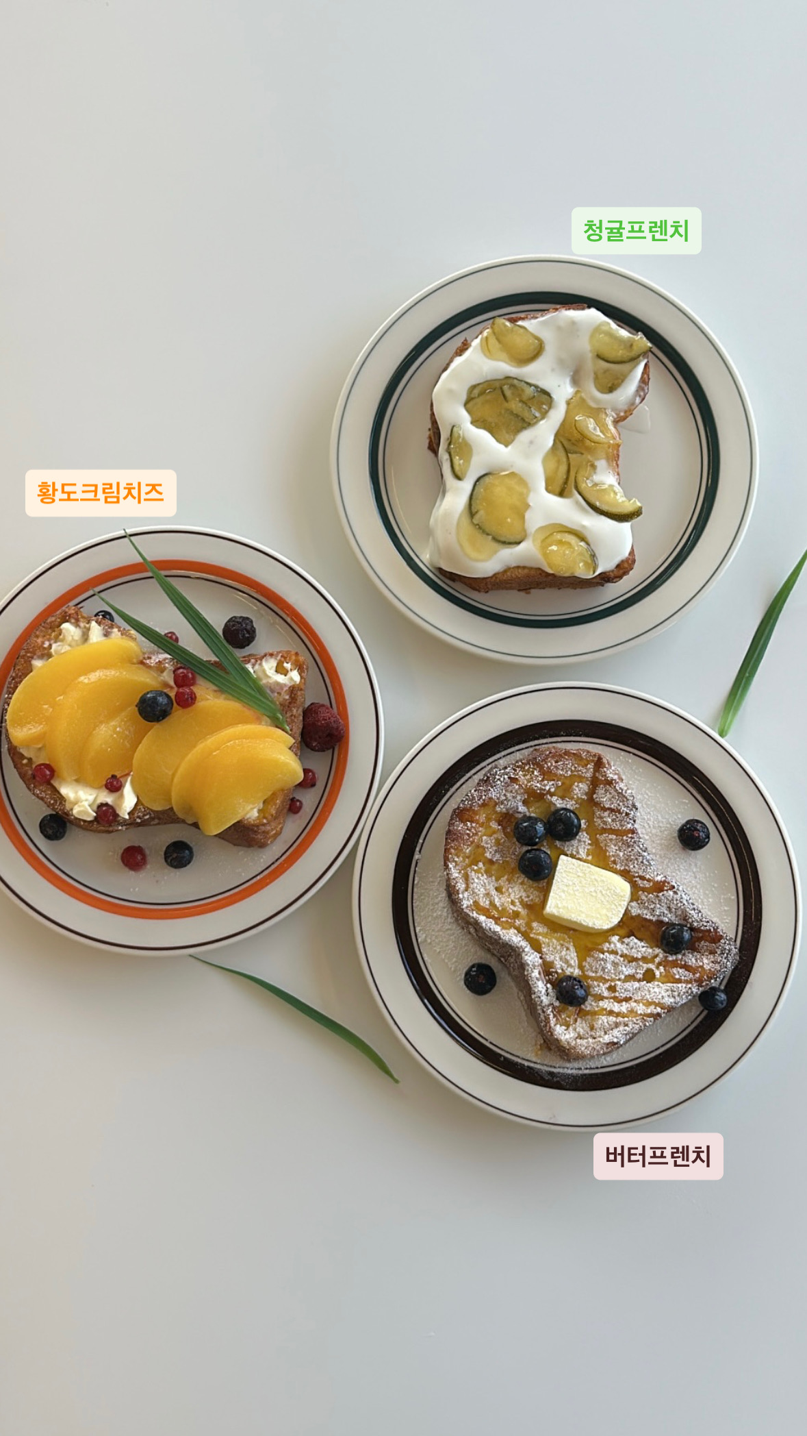 잇츠커피 경상 애견맛집
