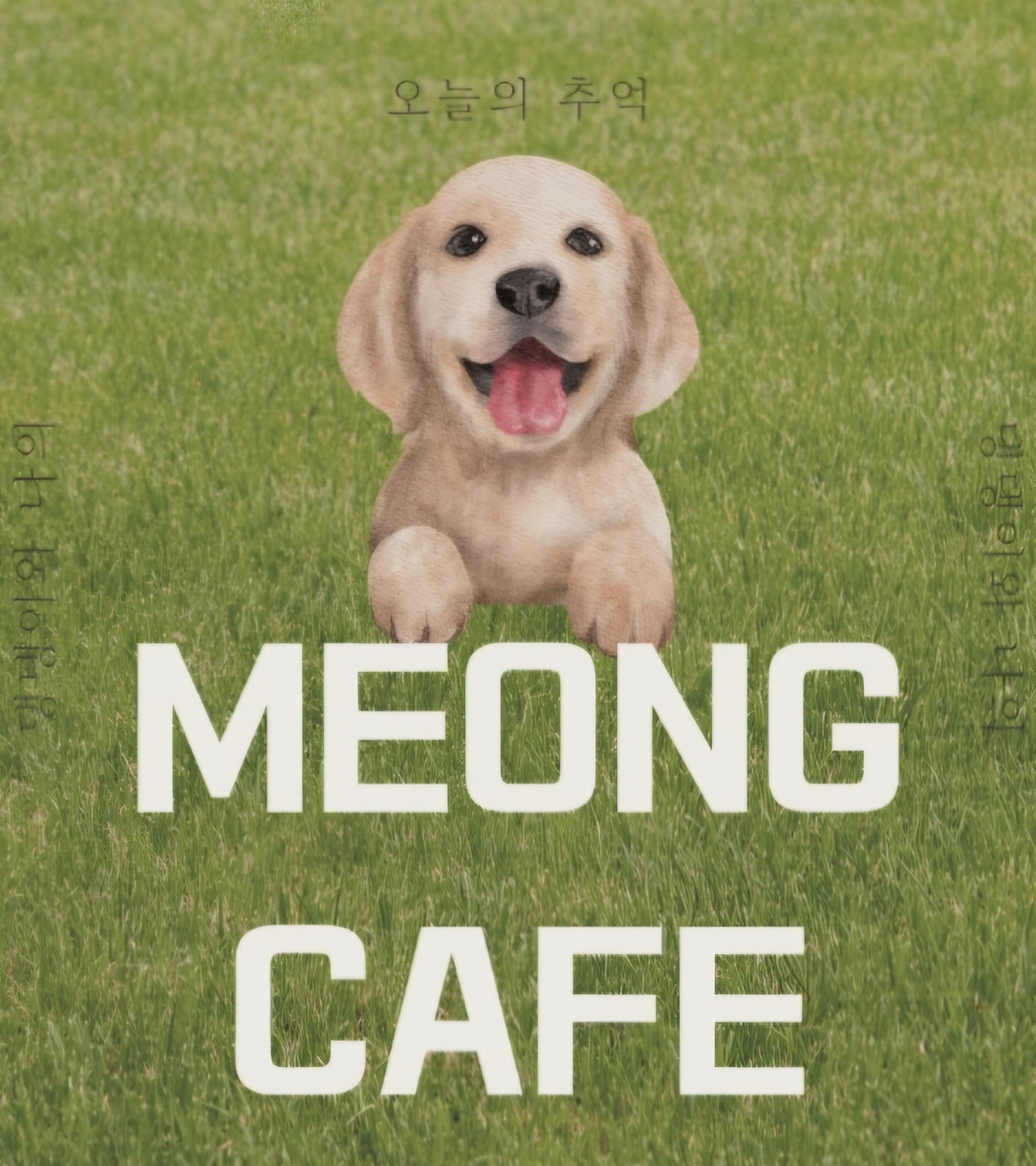 비하인드 5