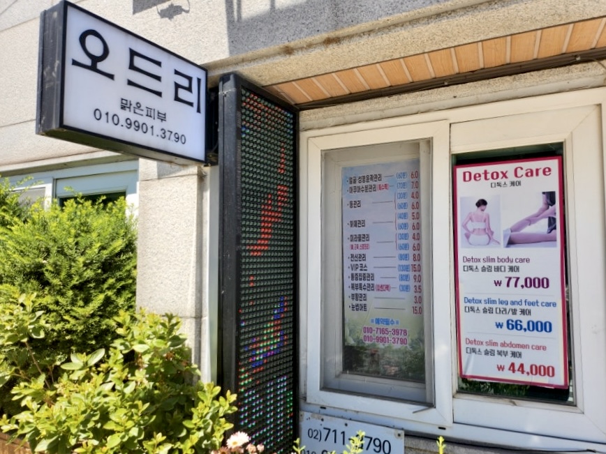 오드리에스떼 photo 6