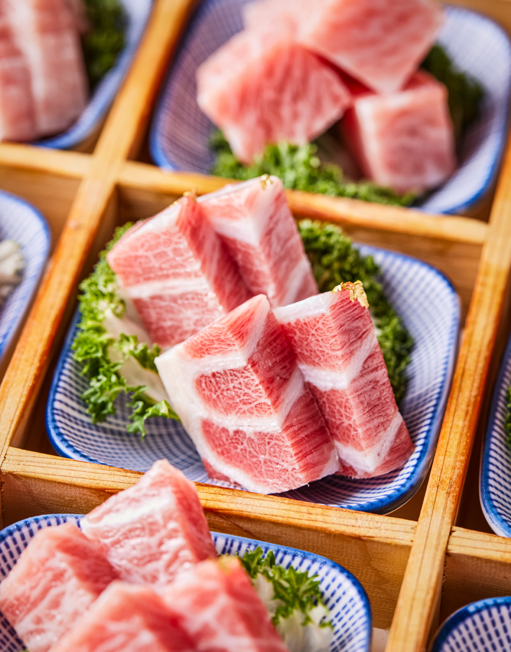 골드참치 photo 4