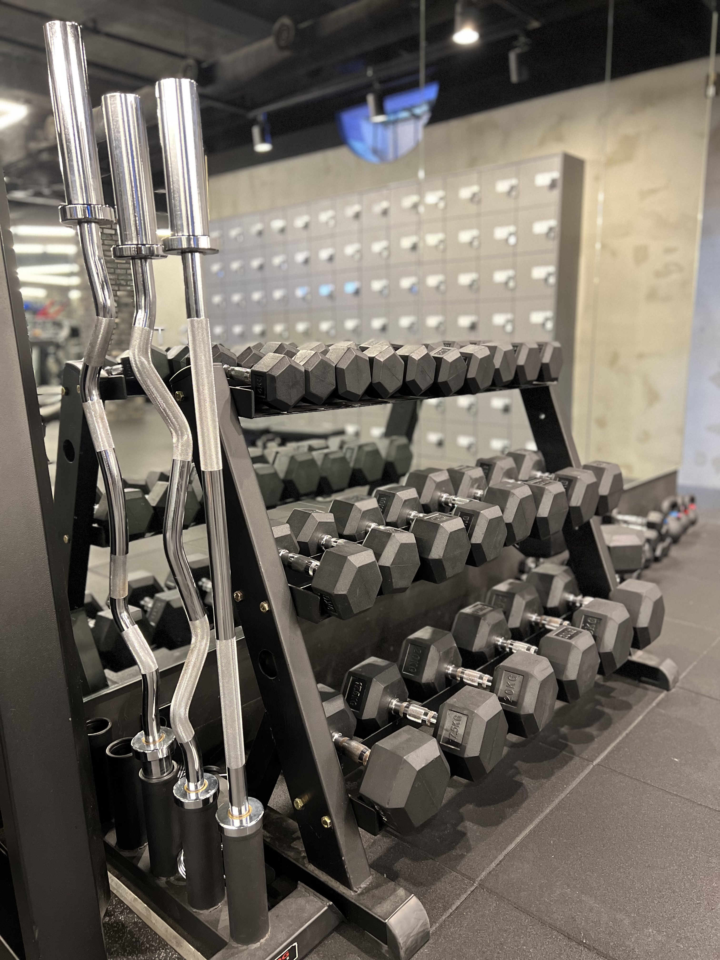 셀렉트짐 PT & 헬스 광화문점 대표 이미지