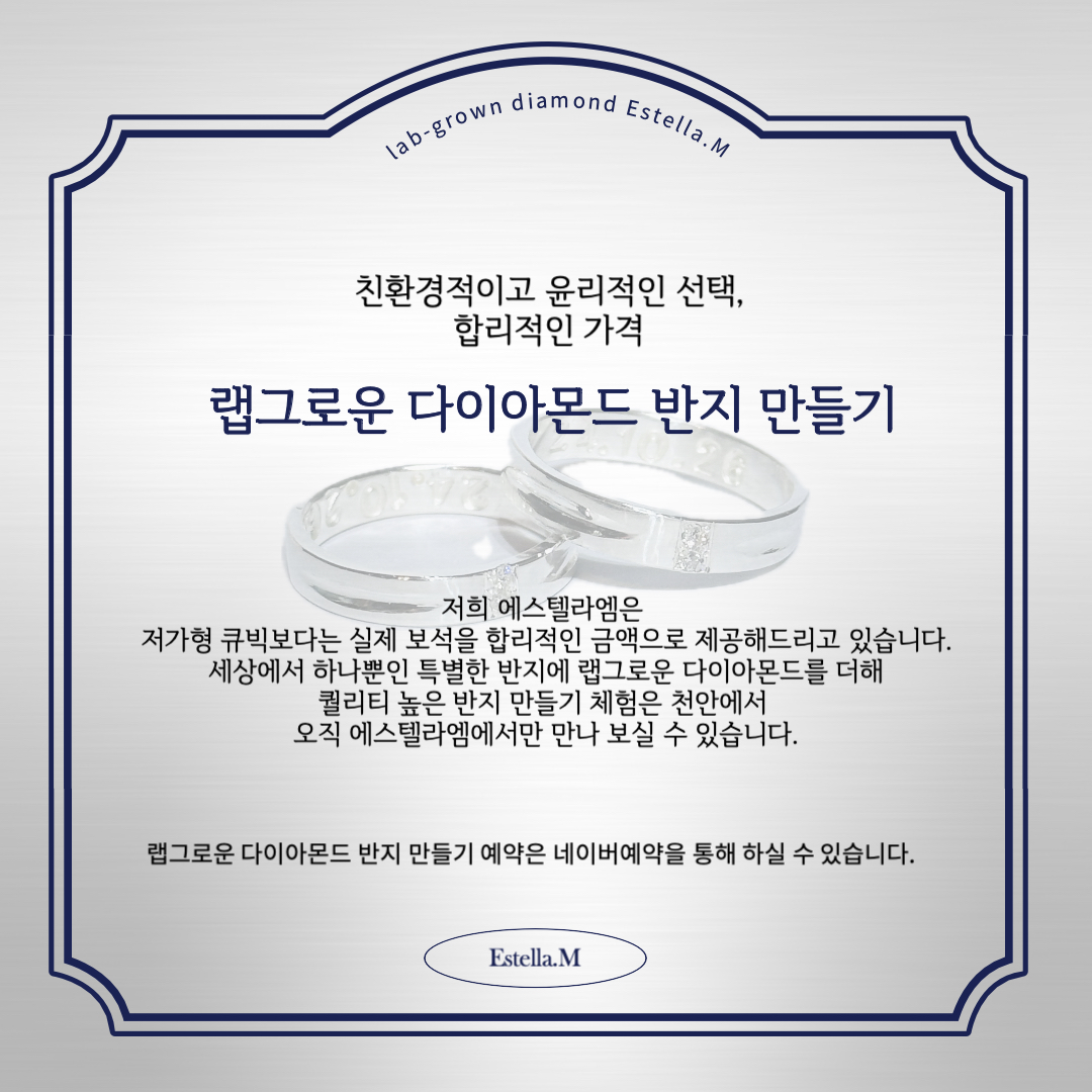 에스텔라엠 내부 또는 관련 모습