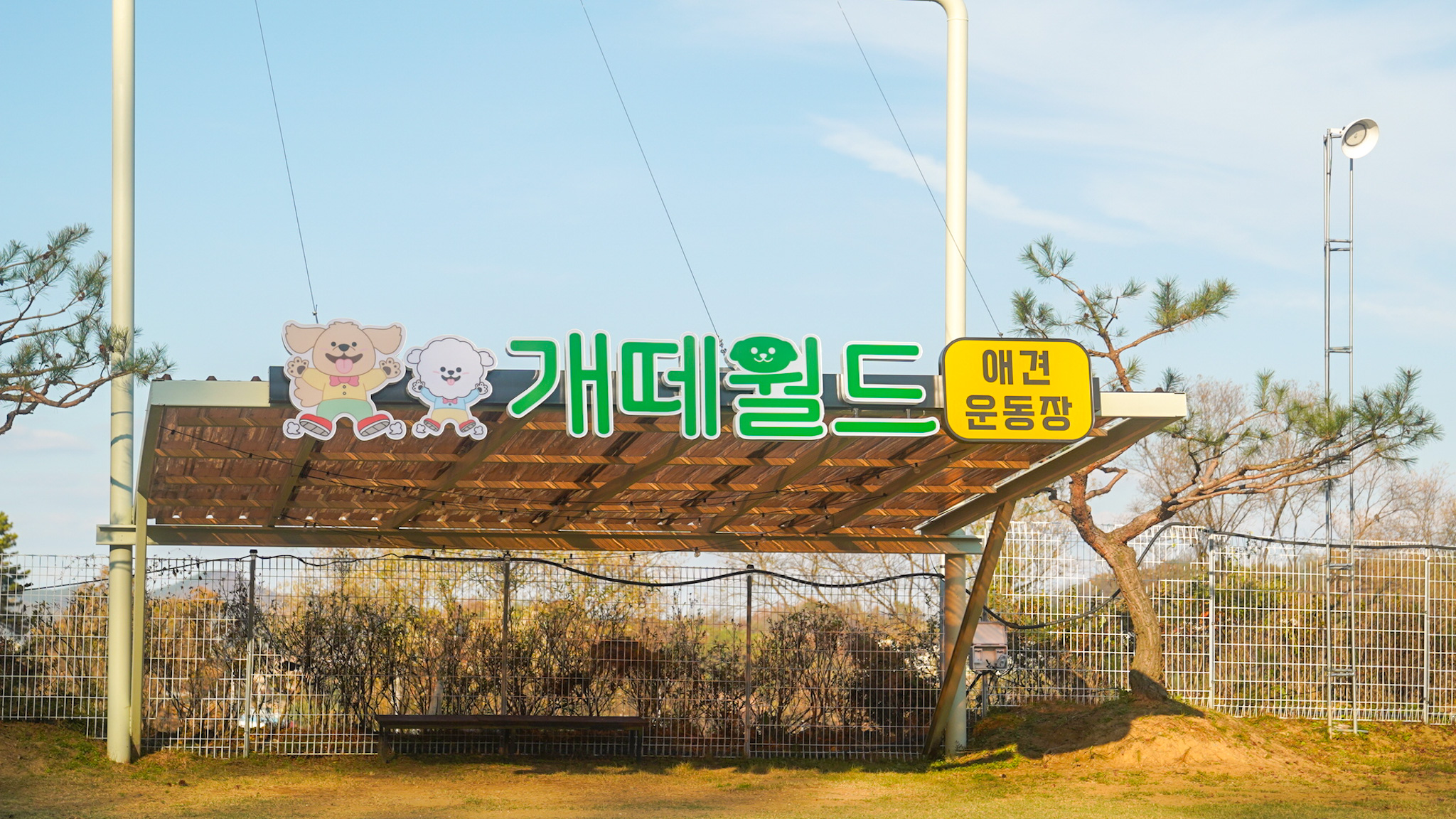 사진 3