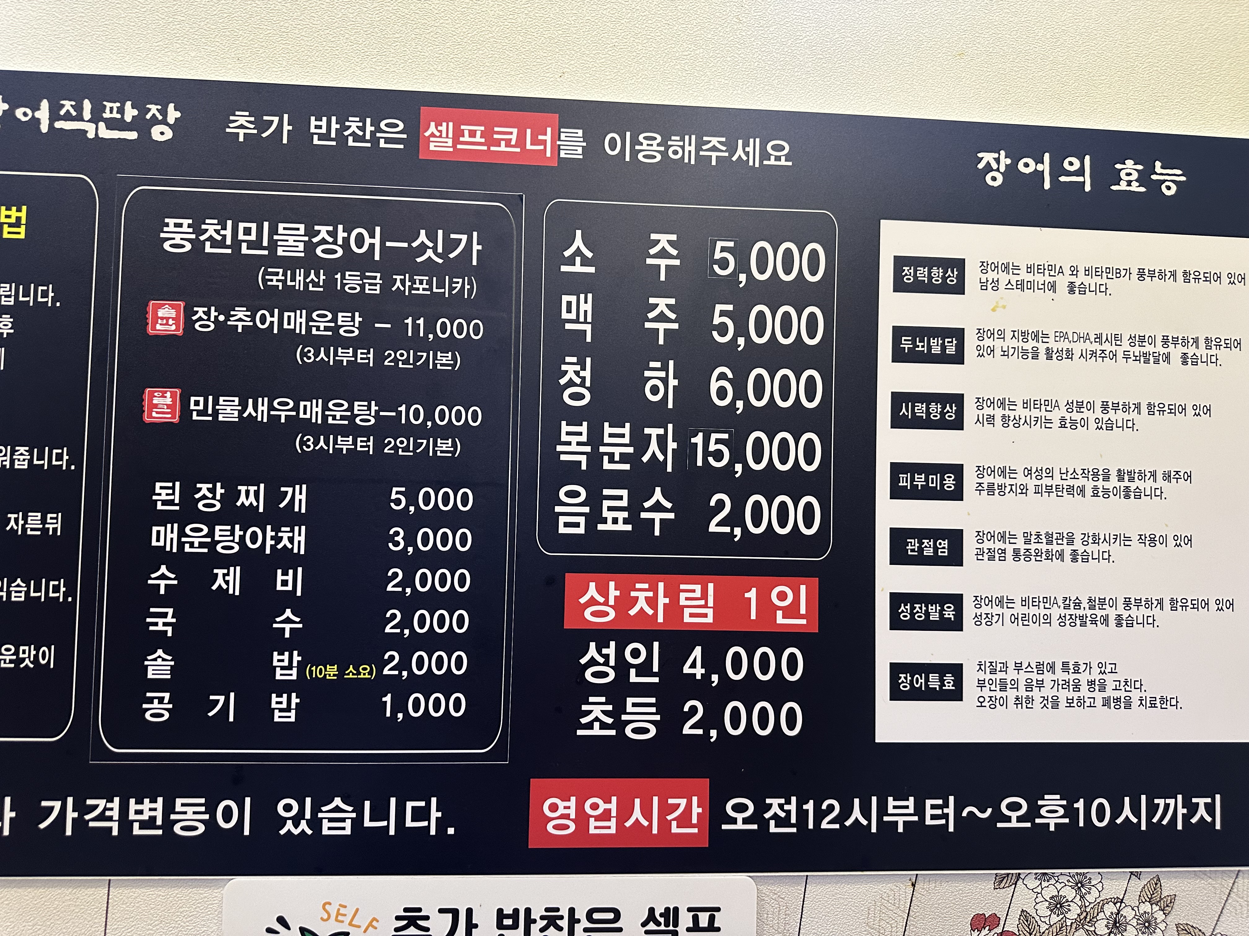 힘찬장어