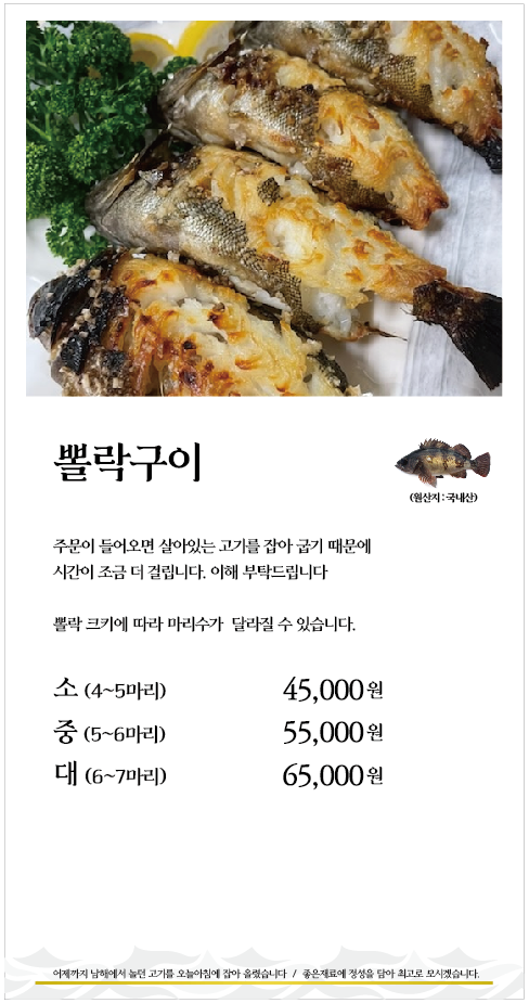 금회세꼬시