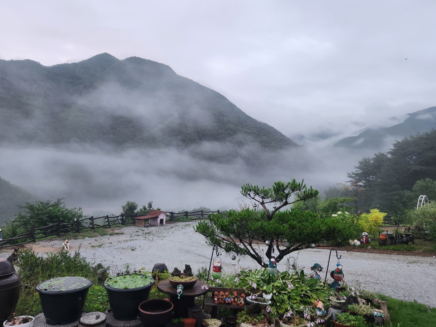 산수미
