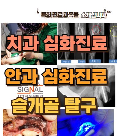 시그널동물병원 대표 이미지