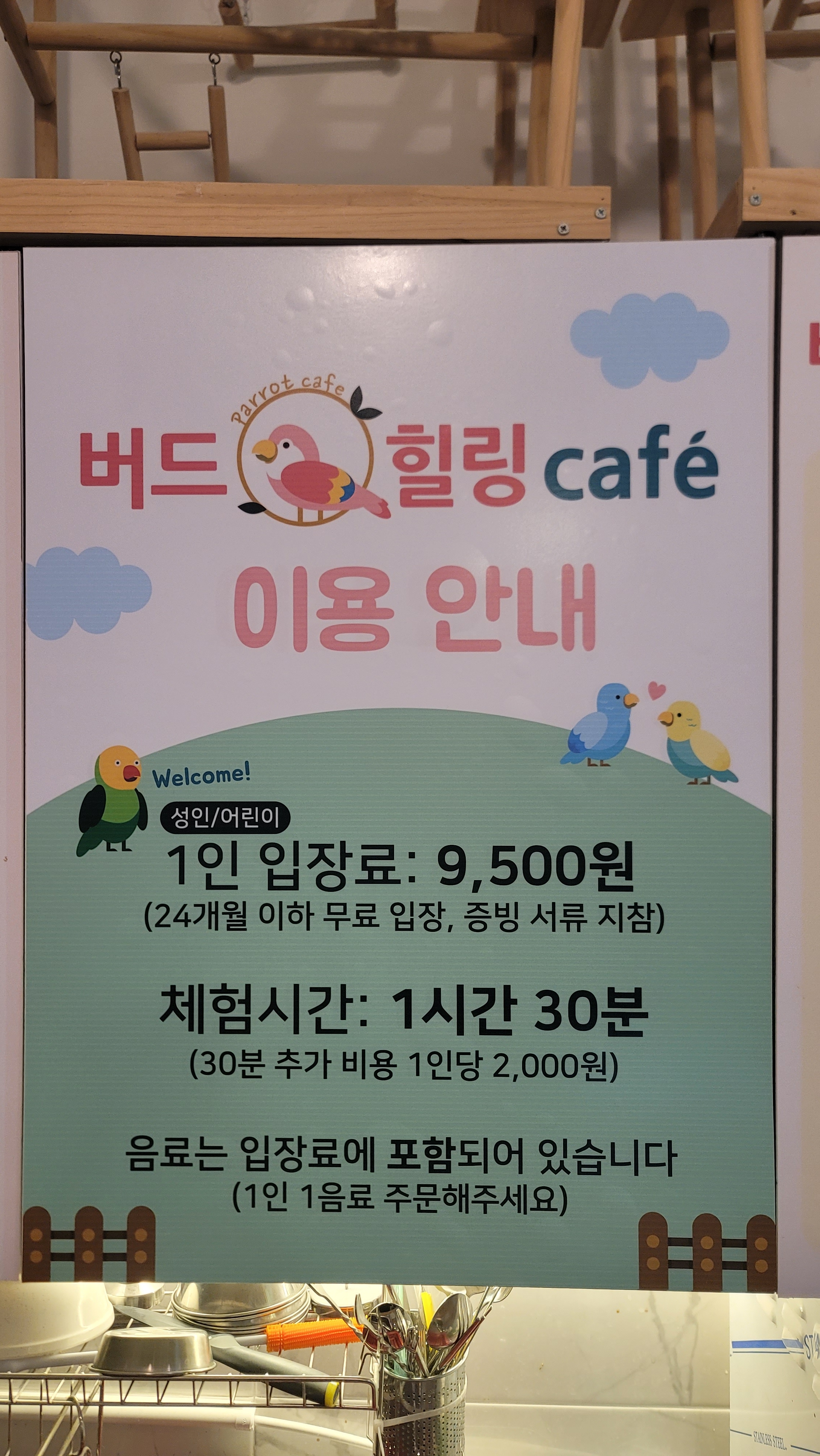 버드힐링앵무새카페