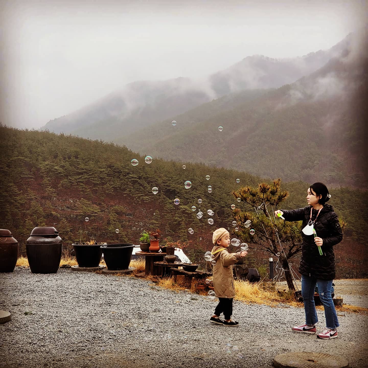 산수미