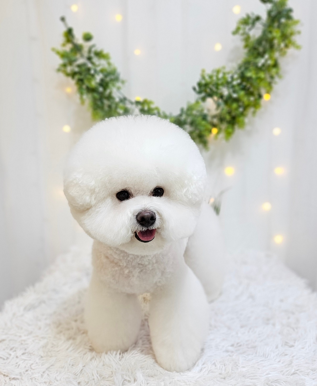 베럴라이프 대표 이미지