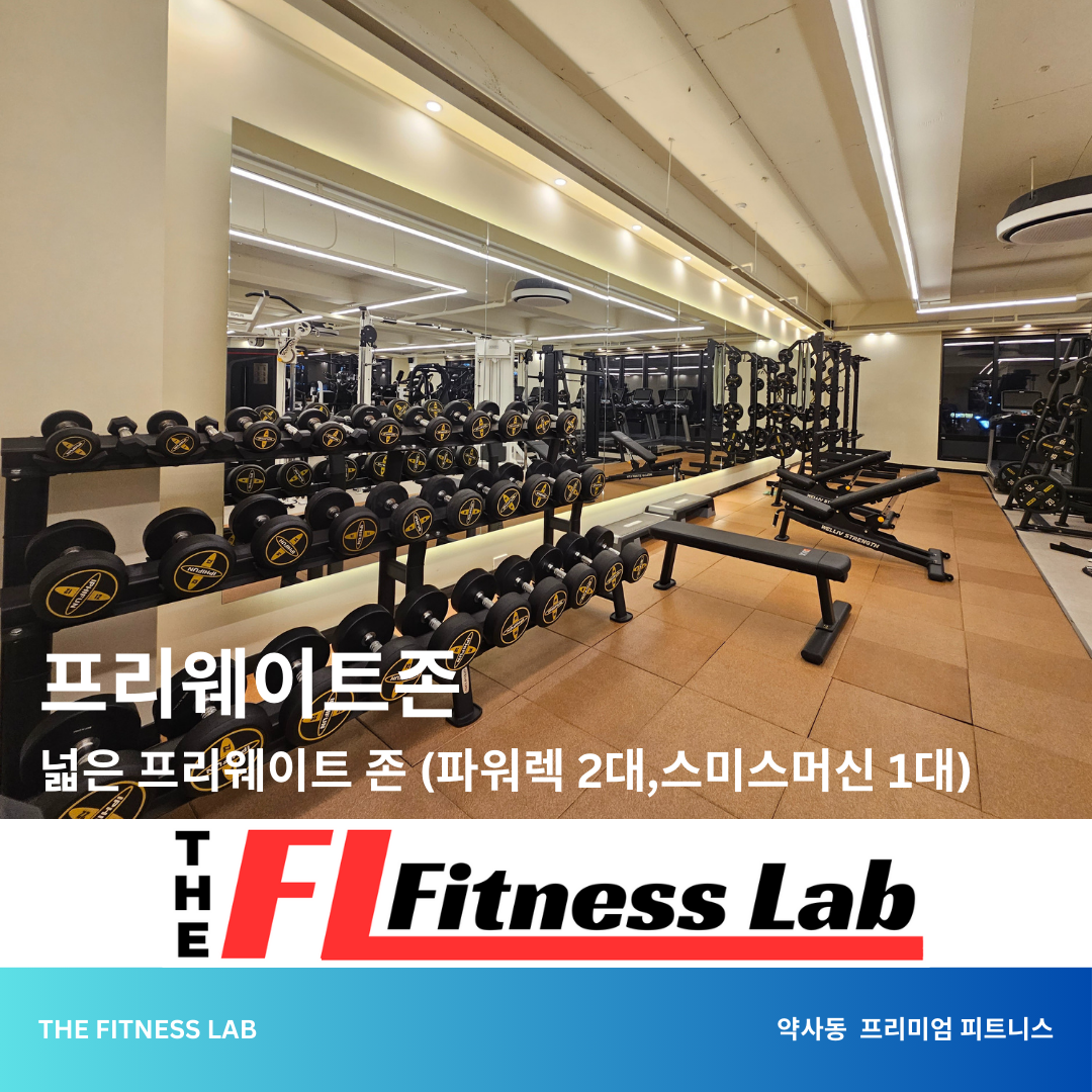 더 피트니스랩