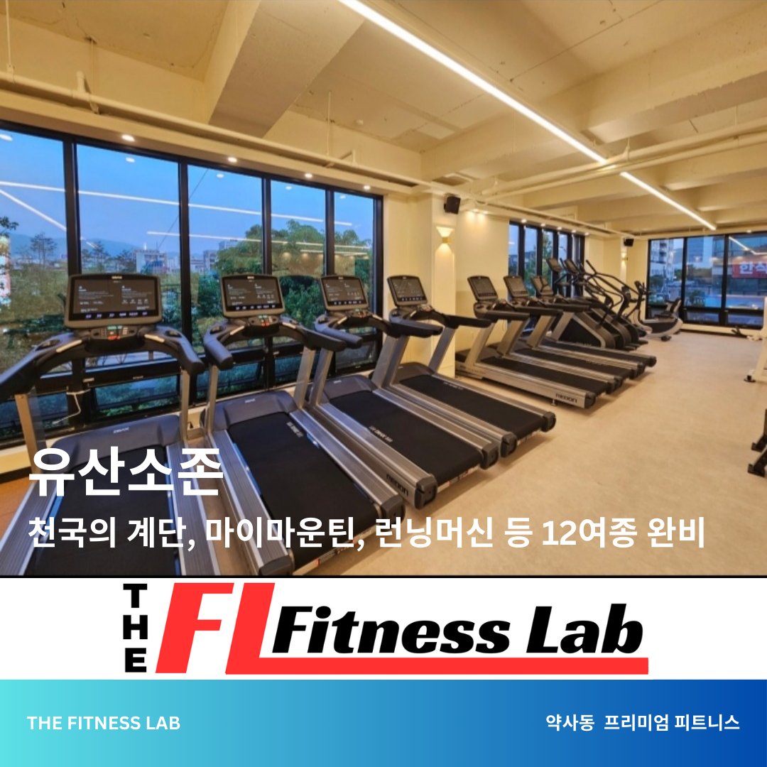더 피트니스랩