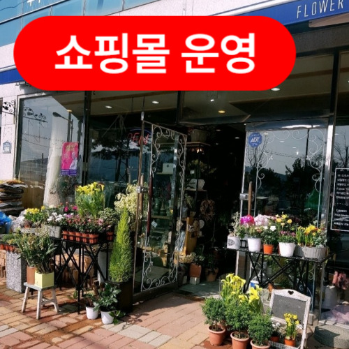 봄플라워