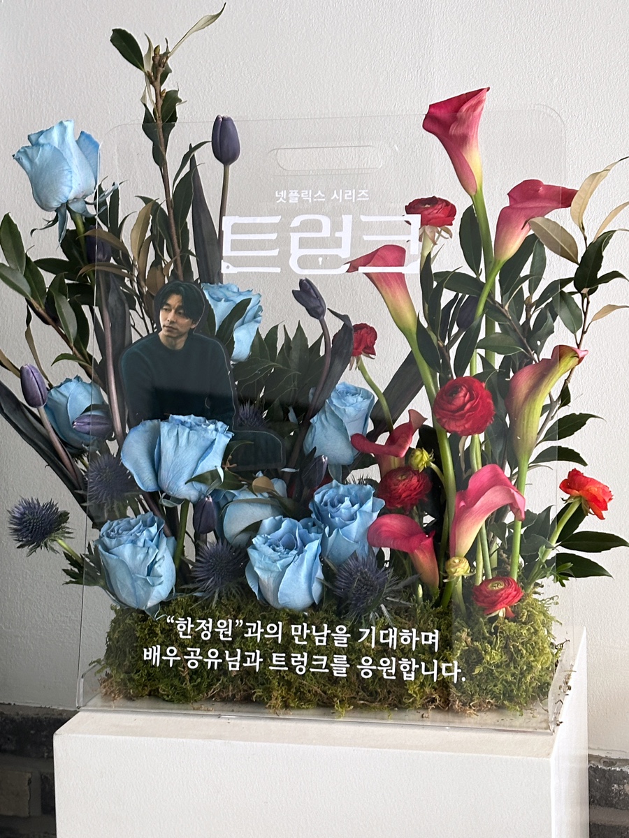 세영플루디오