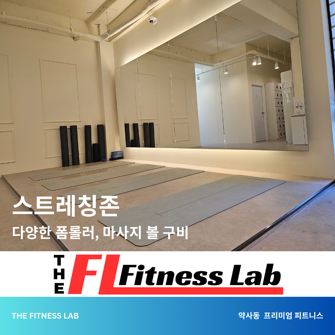 더 피트니스랩