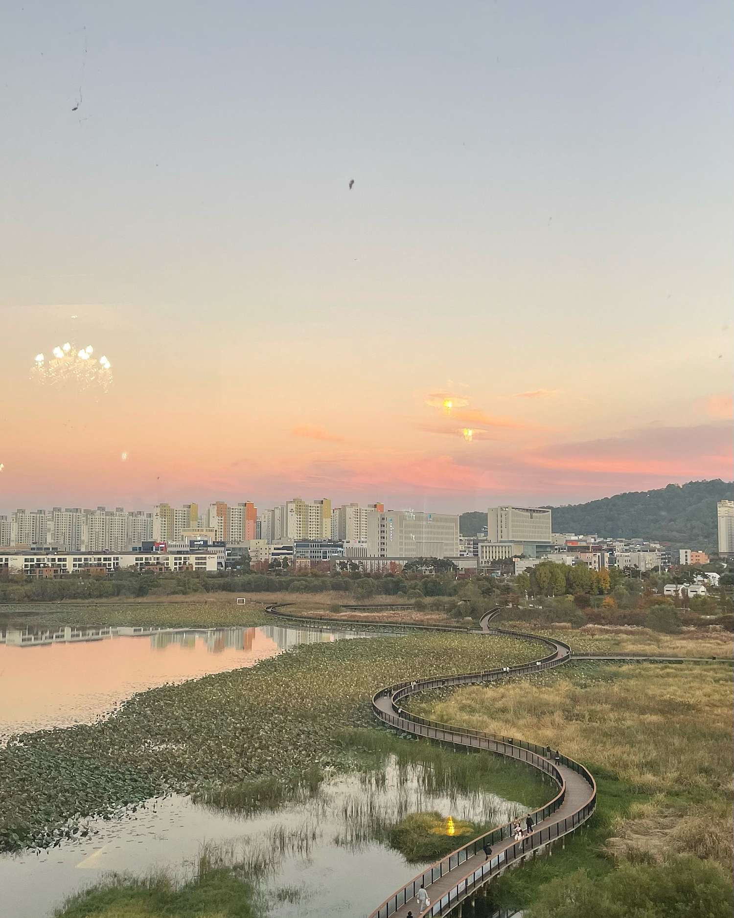 오아 인천 애견맛집