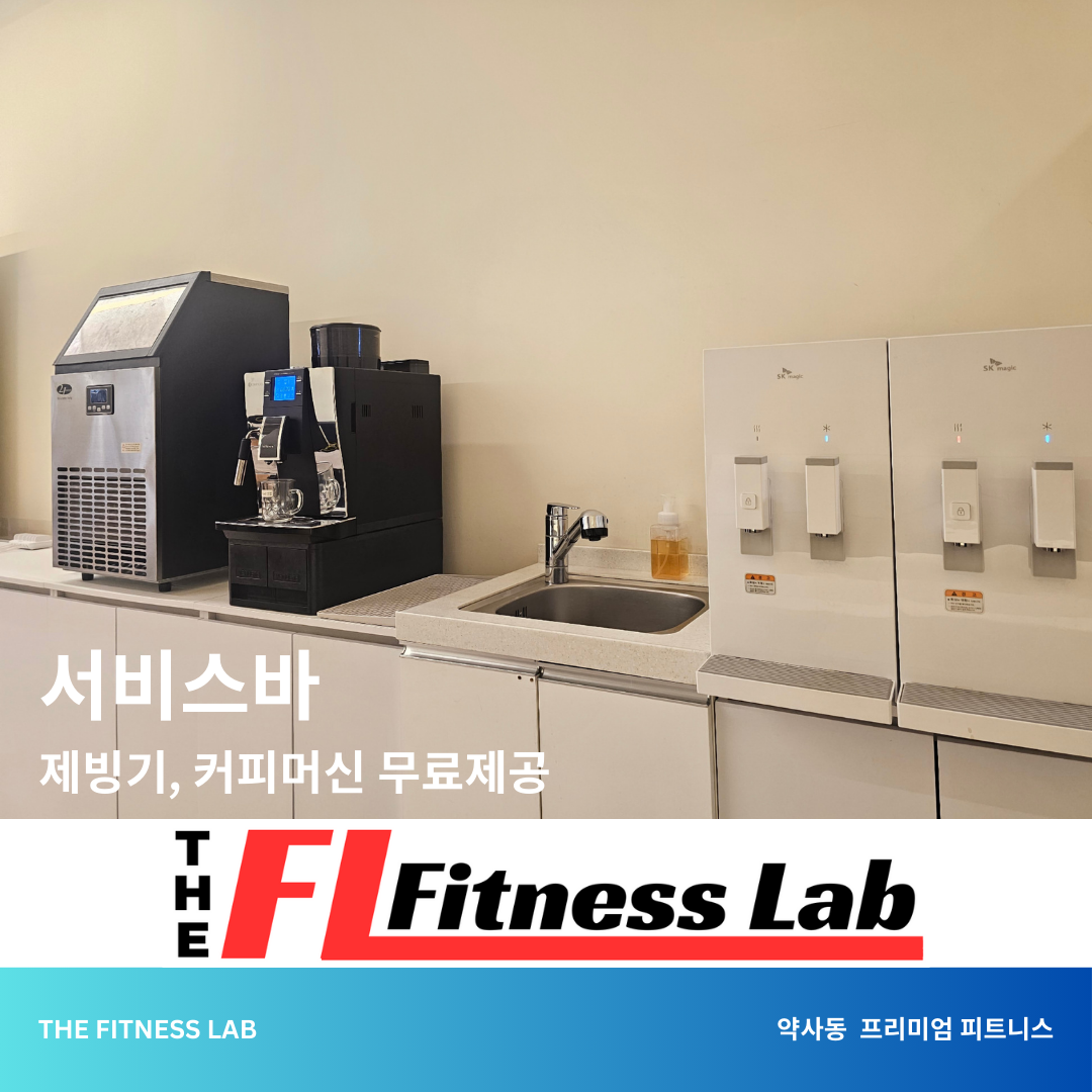 더 피트니스랩