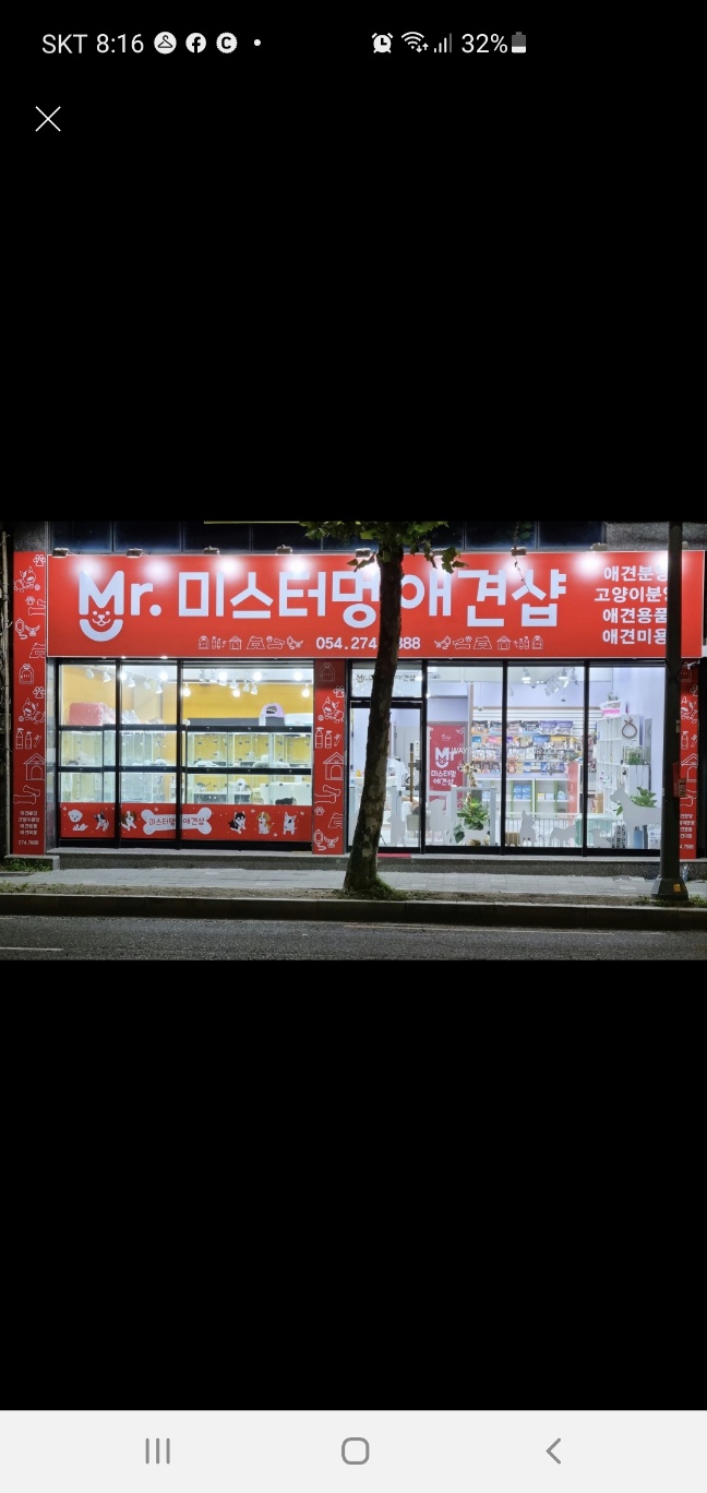 미스터멍 애견샵
