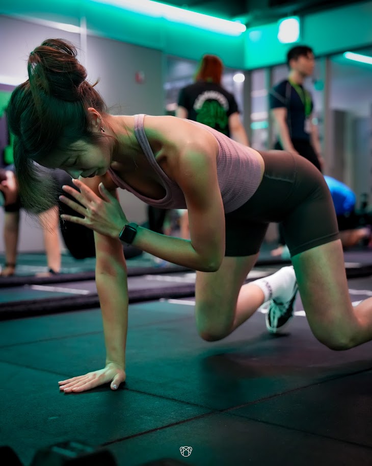 팀버핏 대표 이미지