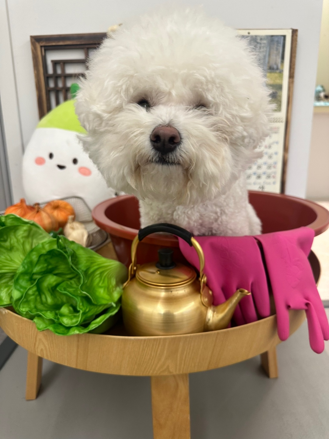 온니담 대표 이미지