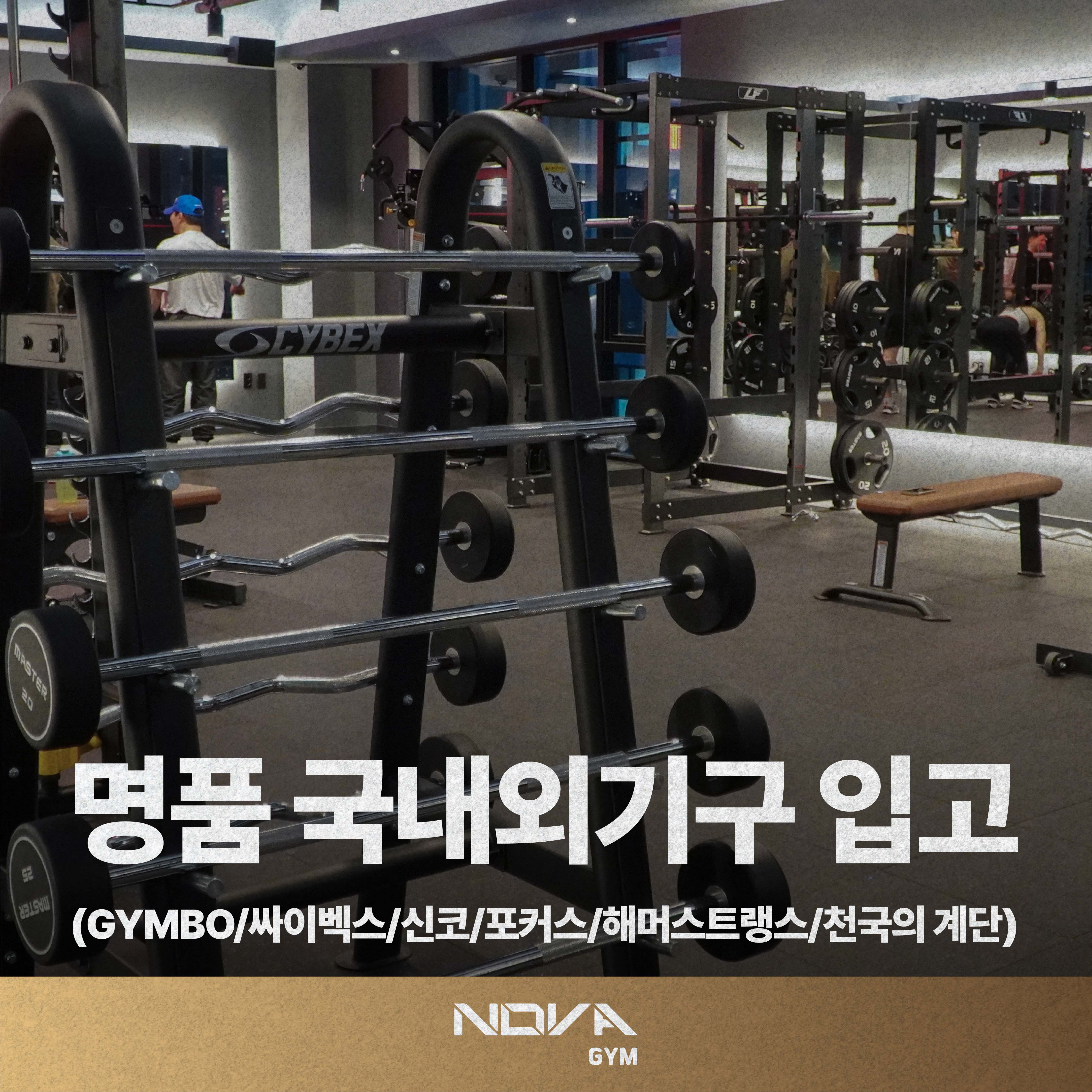 노바짐 헬스&PT 달서구점