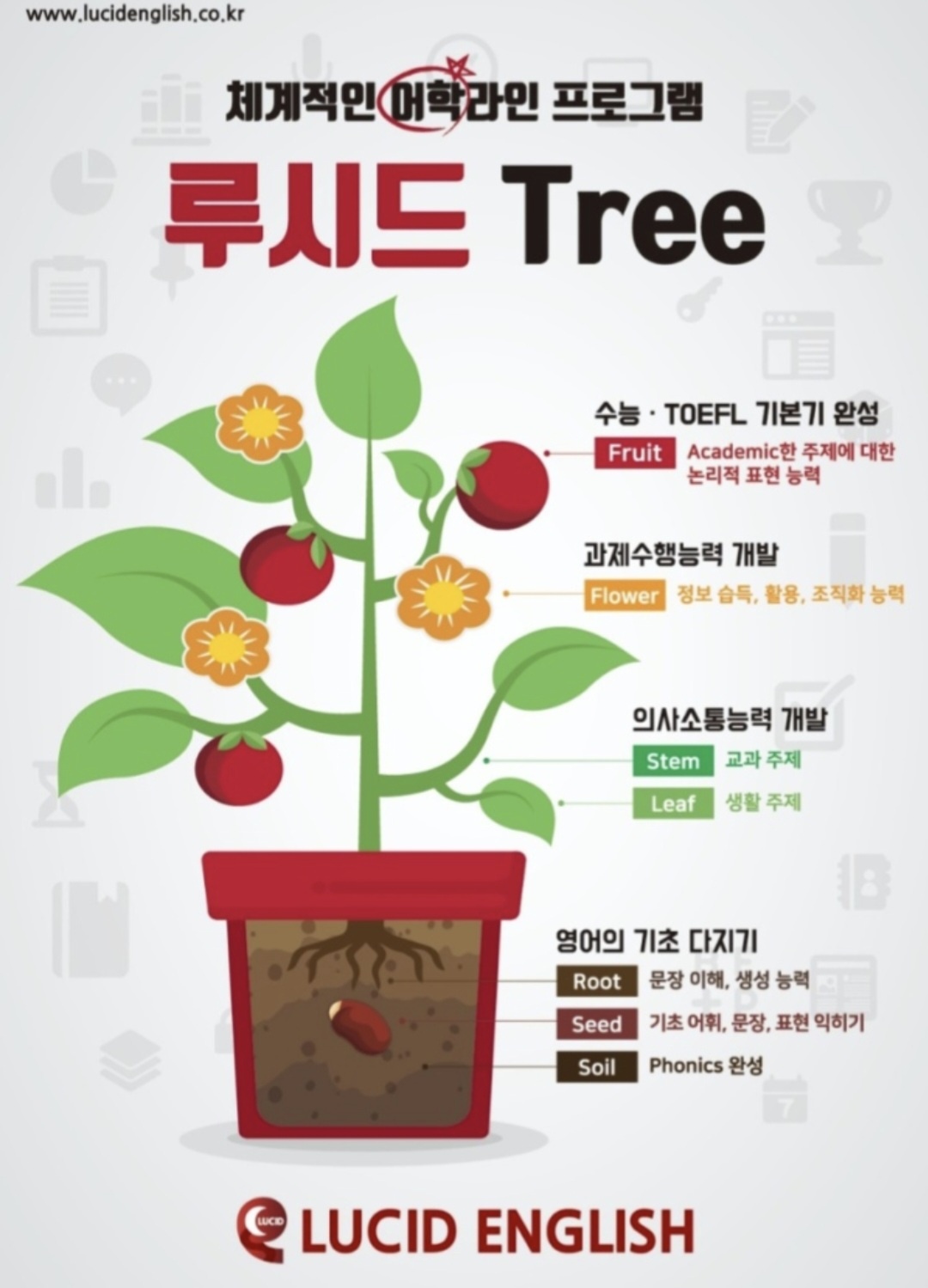 루시드영어학원