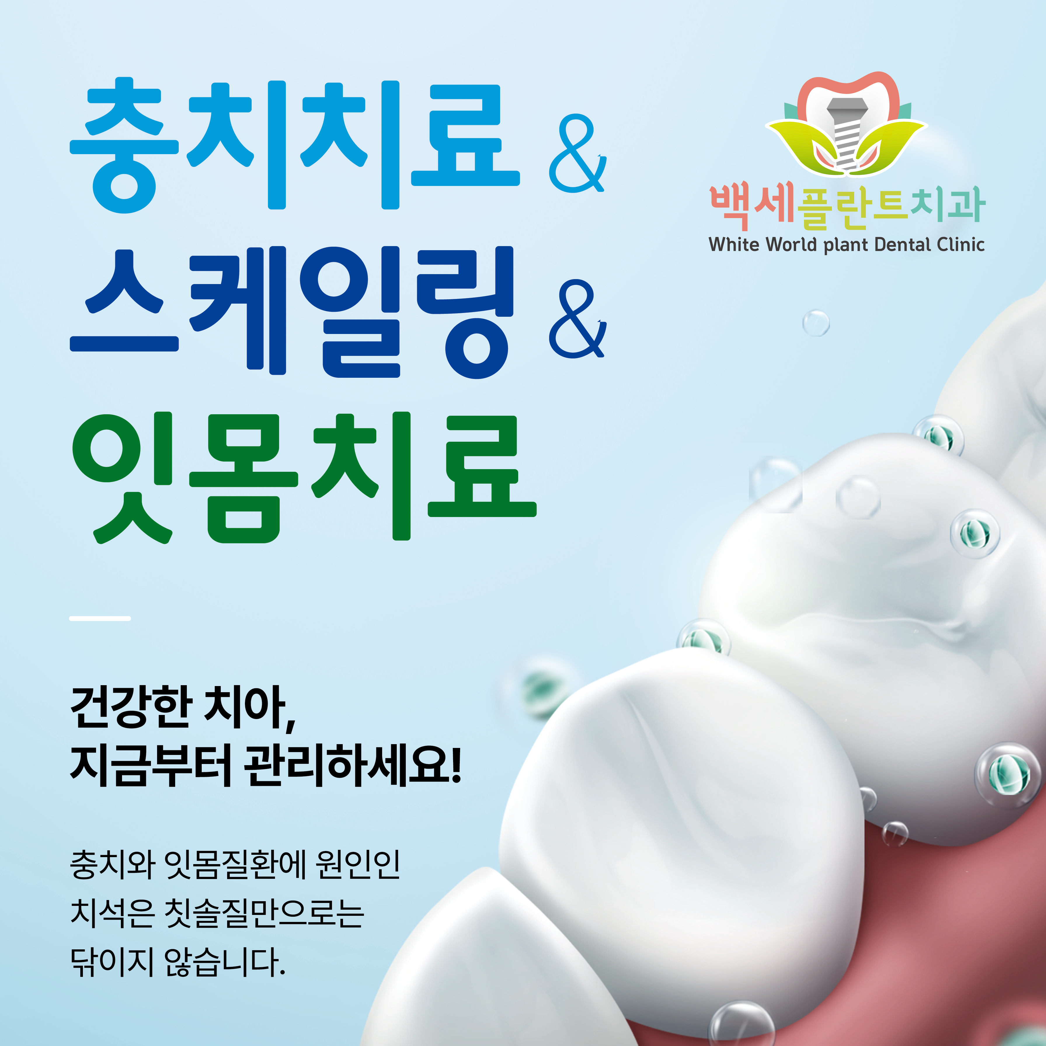가정백세플란트치과의원