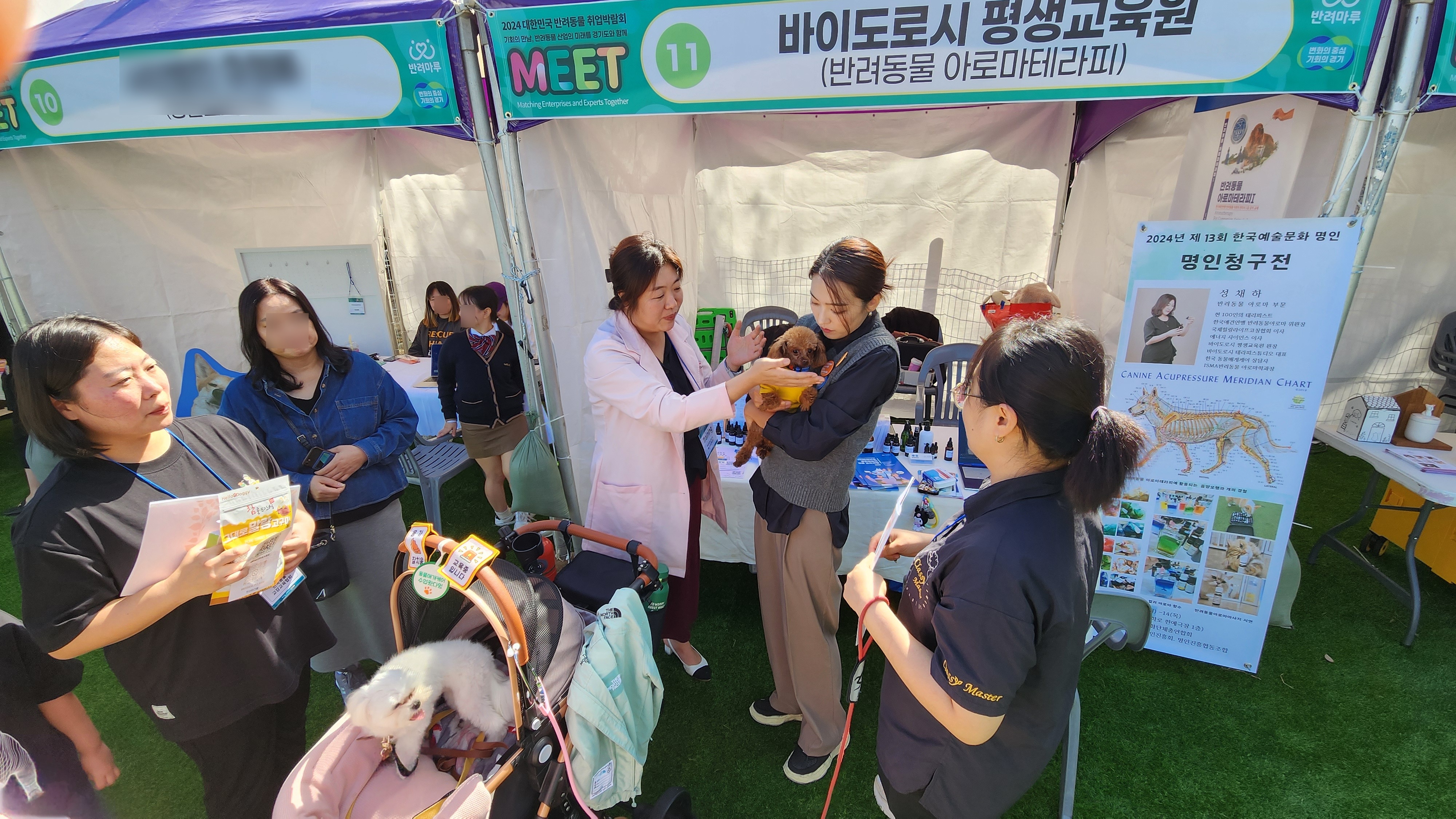 바이도로시평생교육원 대표 이미지