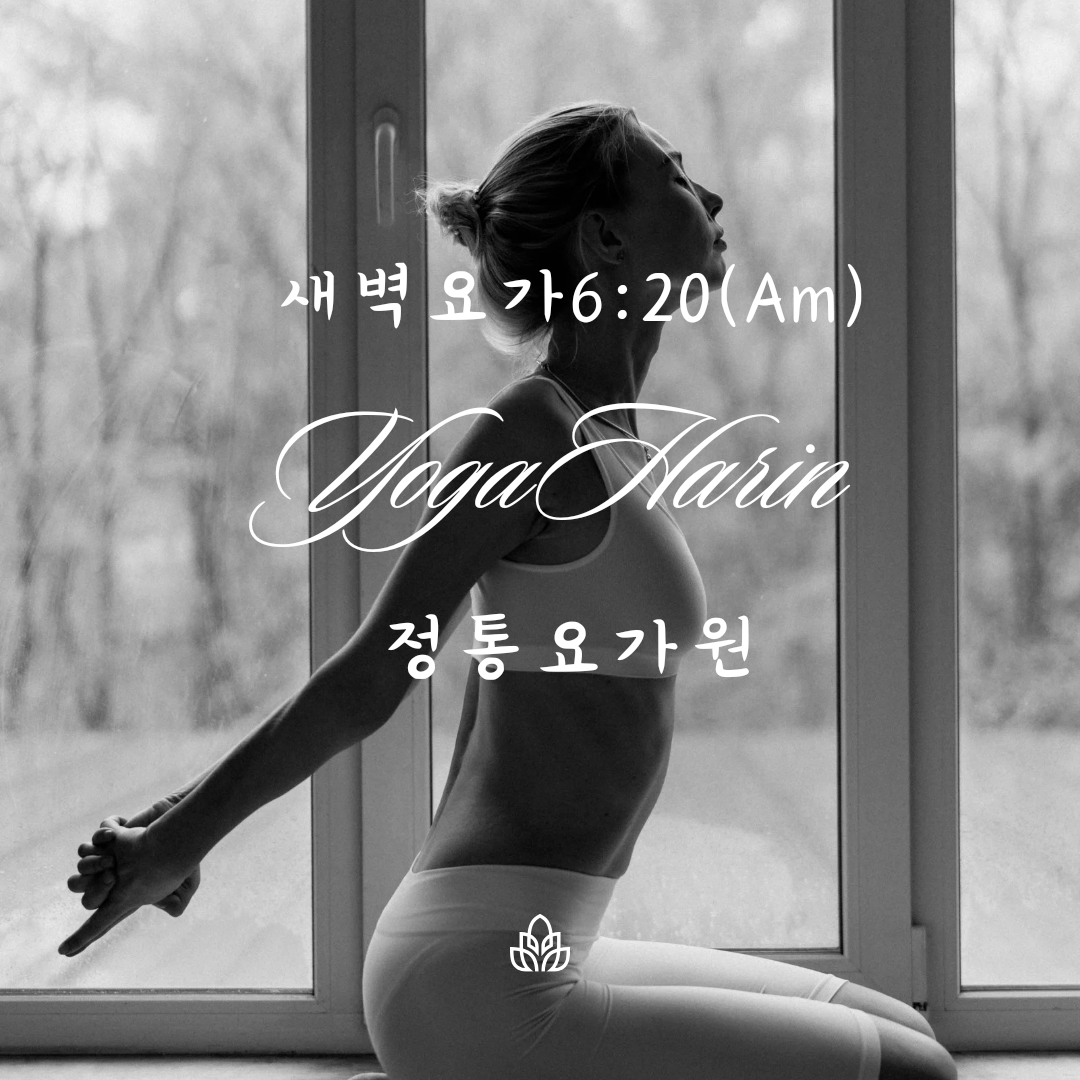 요가하린 명지