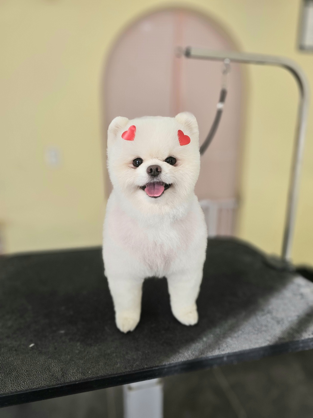 디자인독 대표 이미지