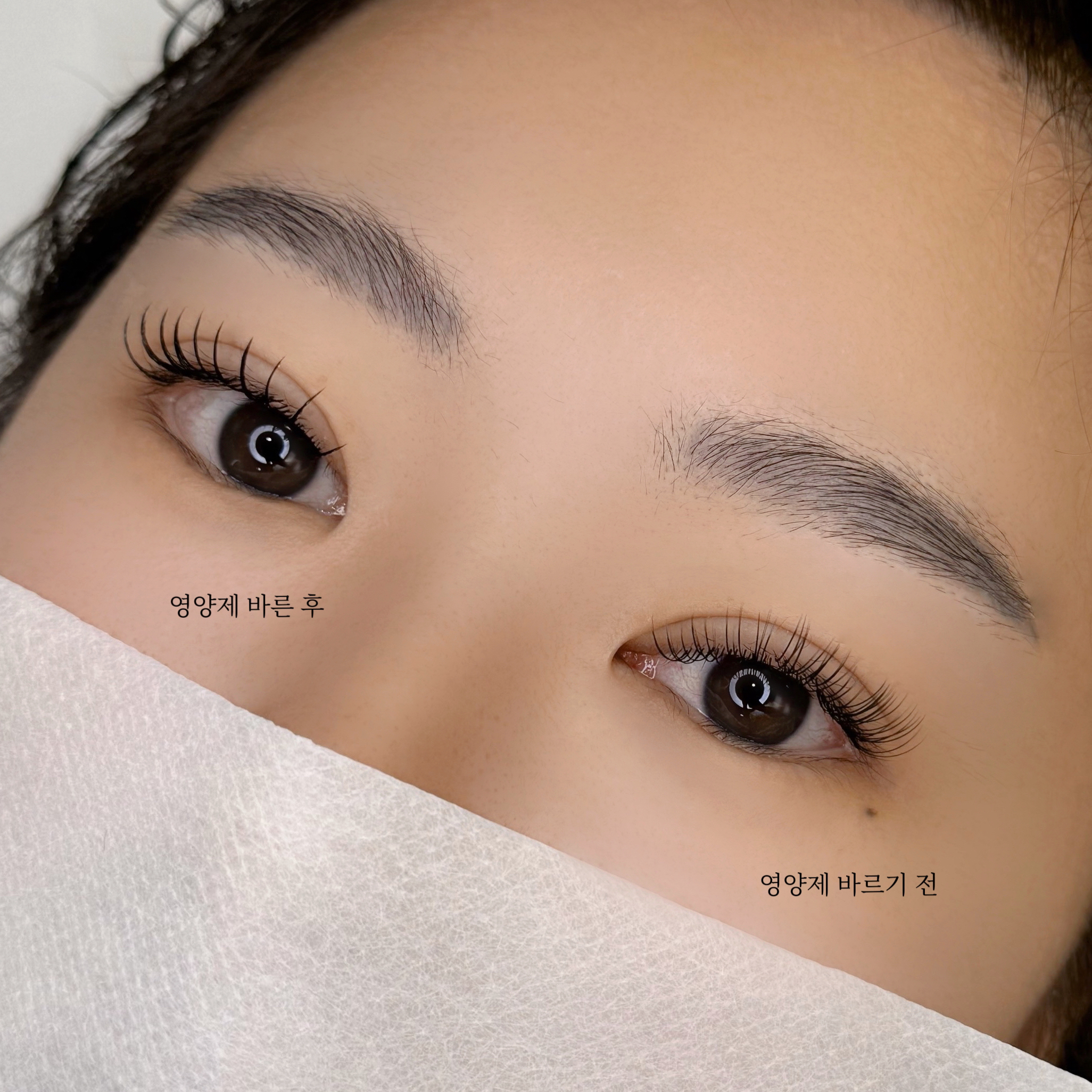 홀리제이뷰티