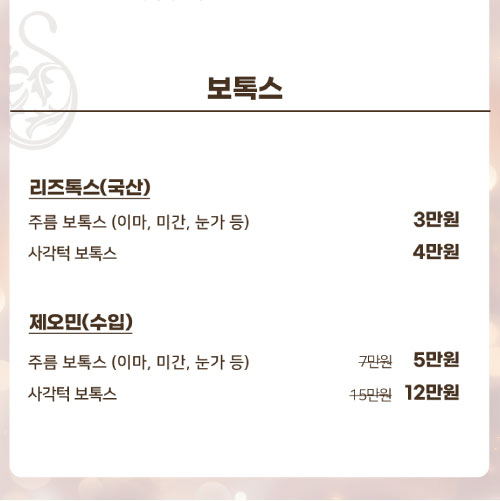 s라인v라인의원