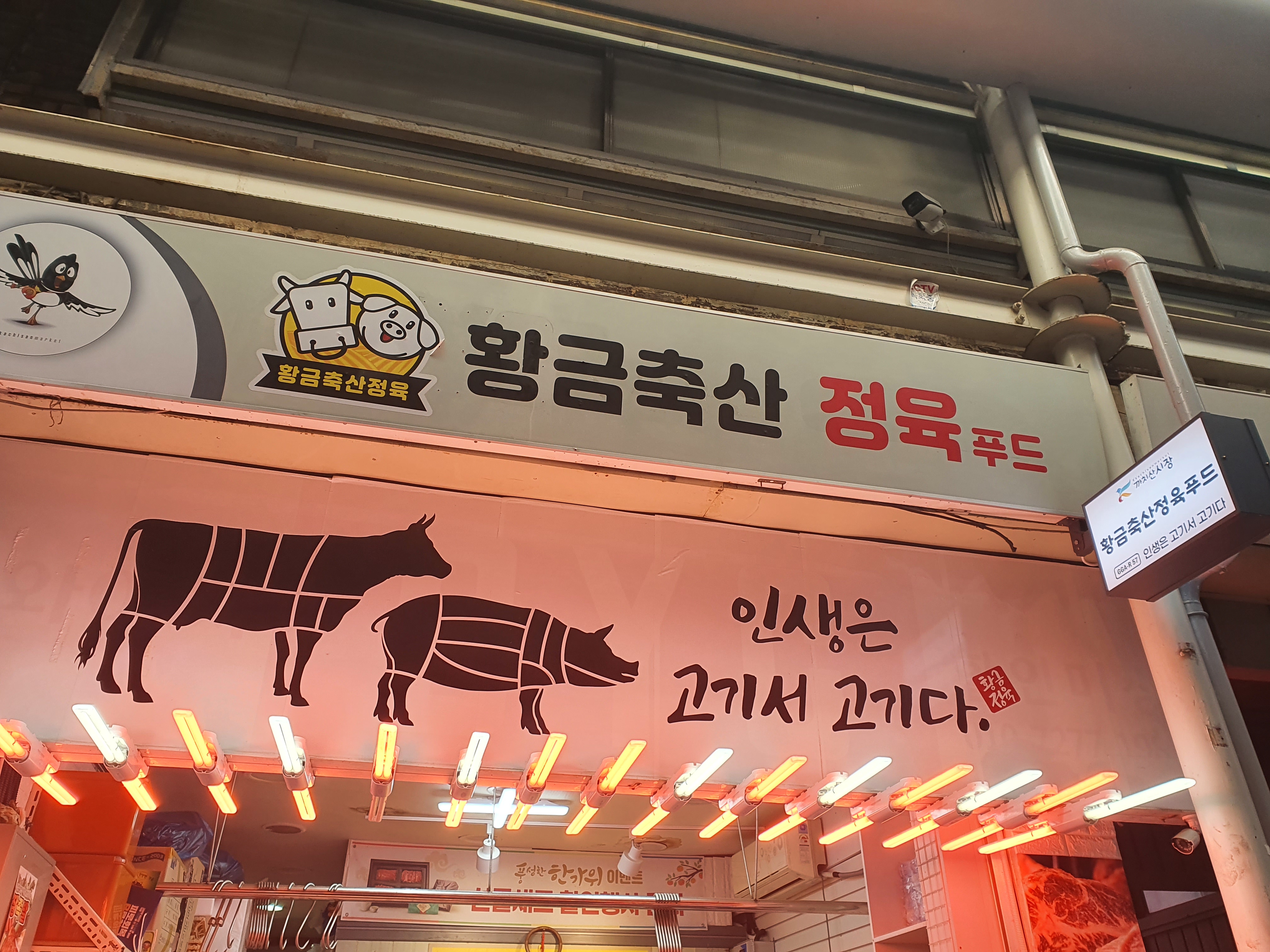 황금축산정육