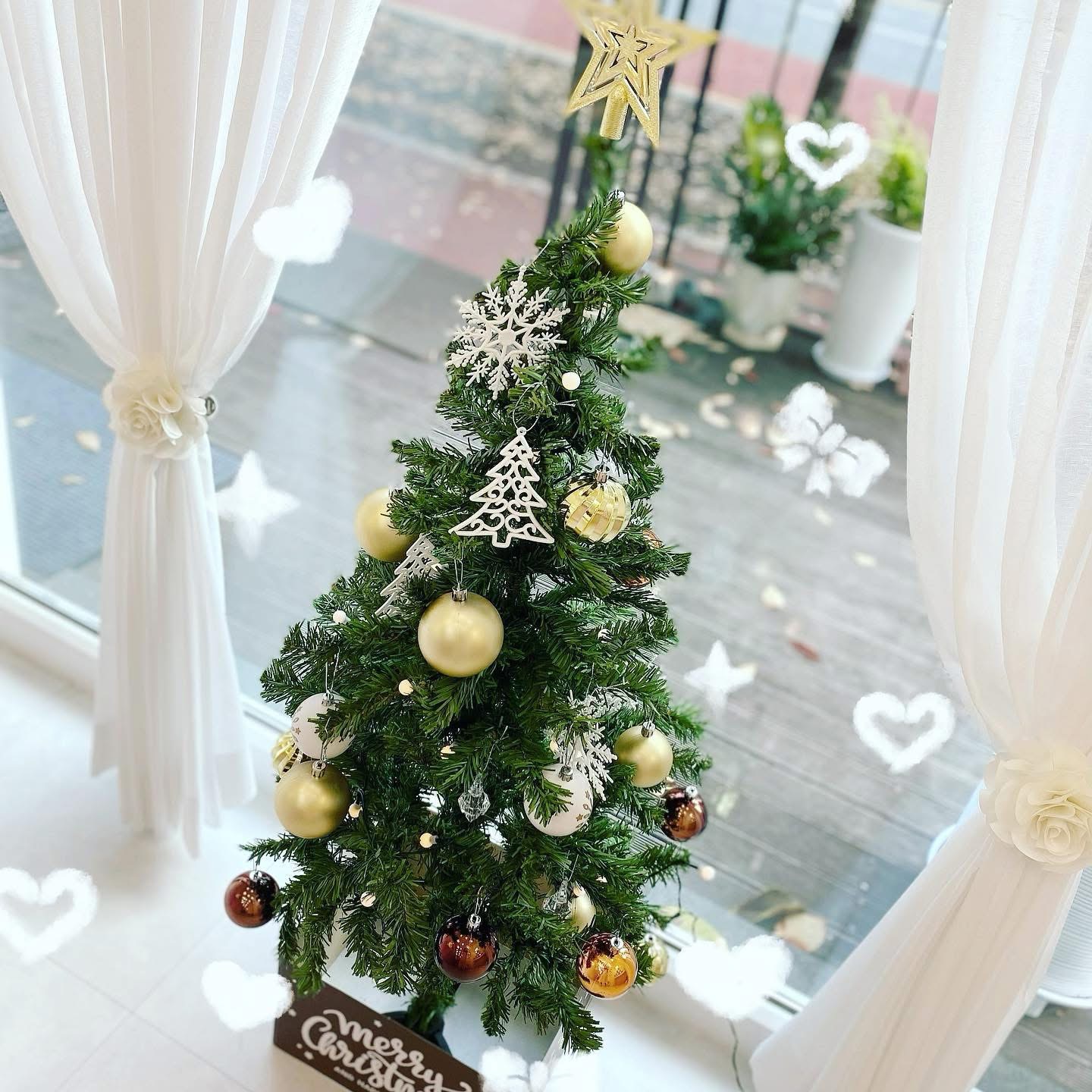 로코코네일 판교본점 대표 이미지