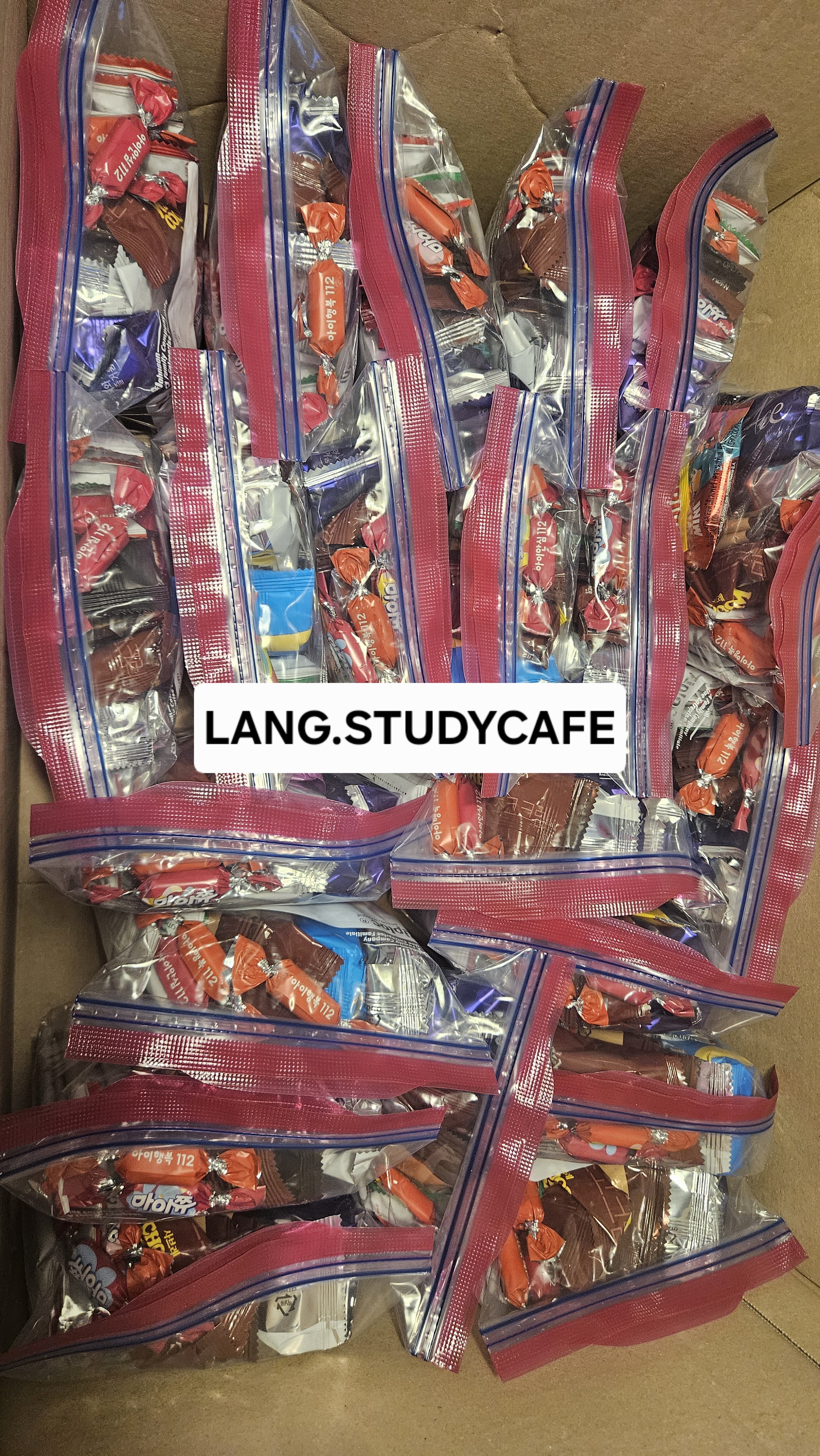 업체사진