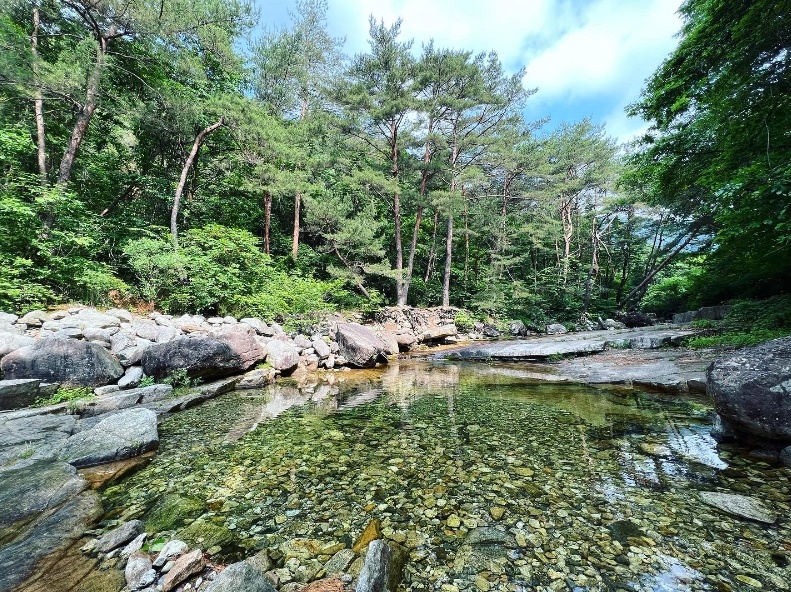 산골캠핑장
