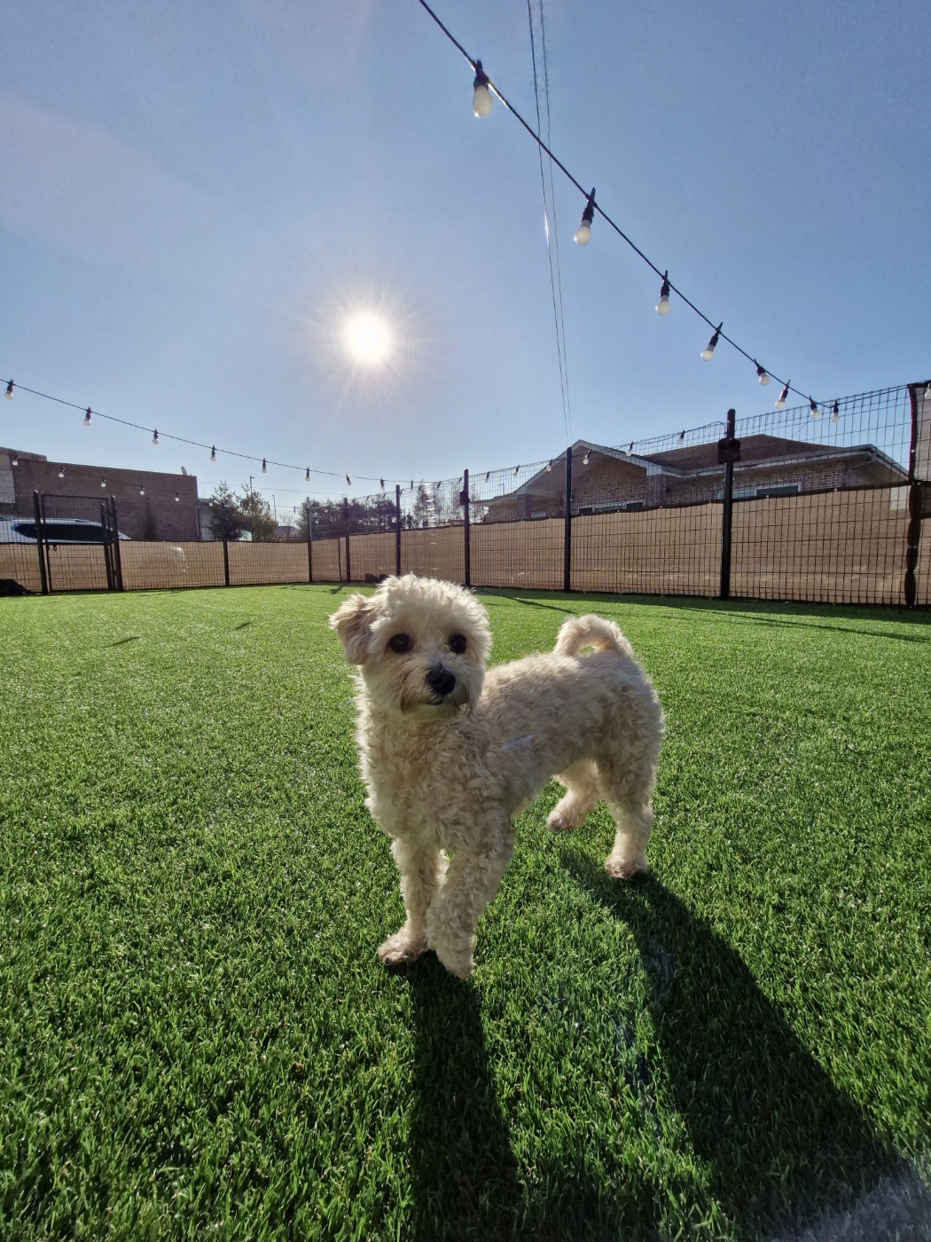 영종독 대표 이미지