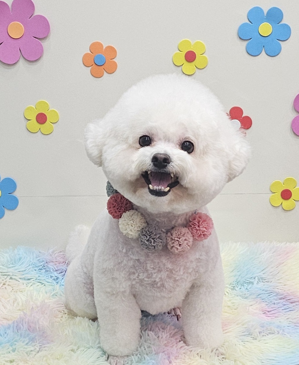 포어웨이즈 대표 이미지