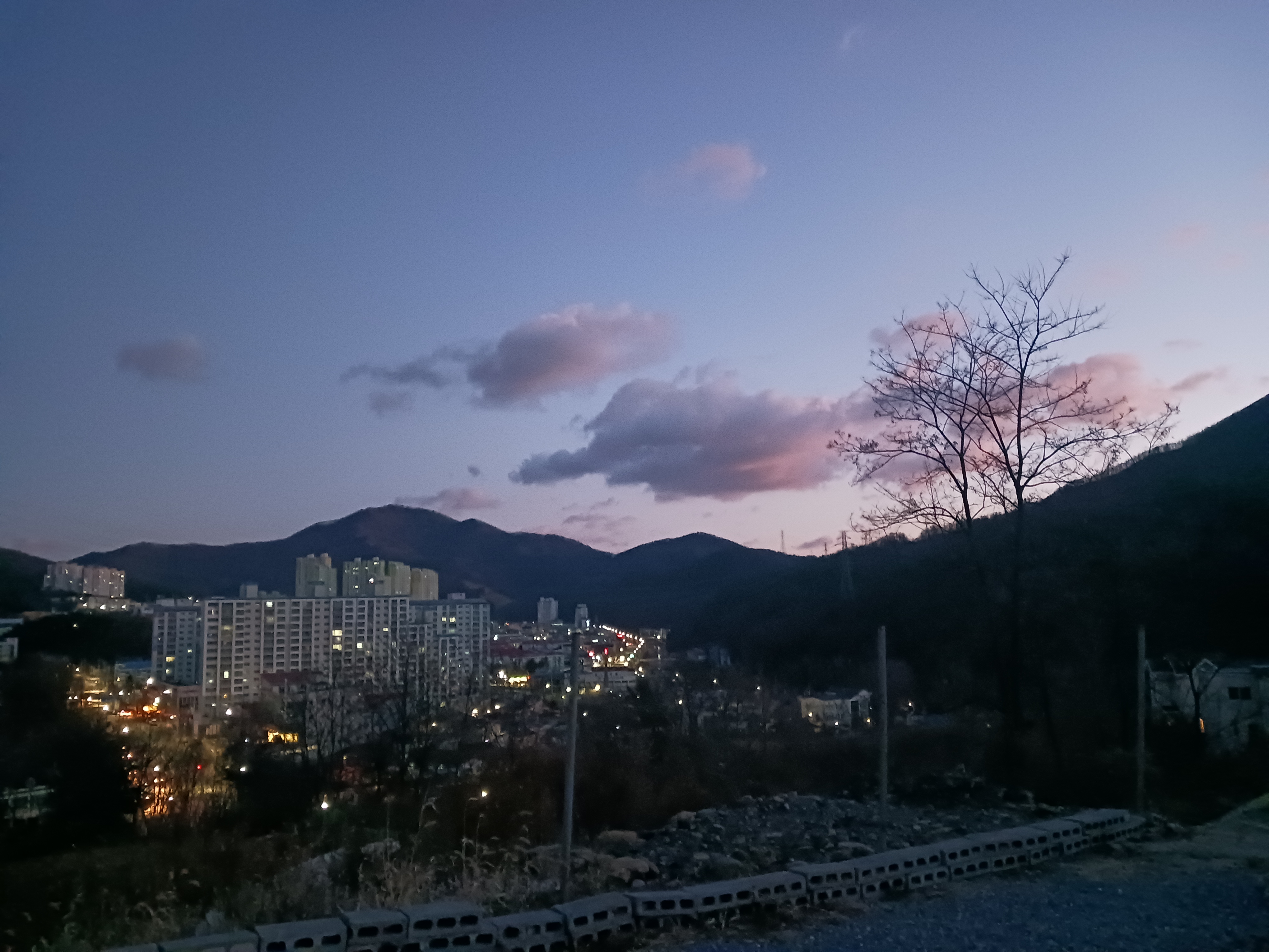 카페 H