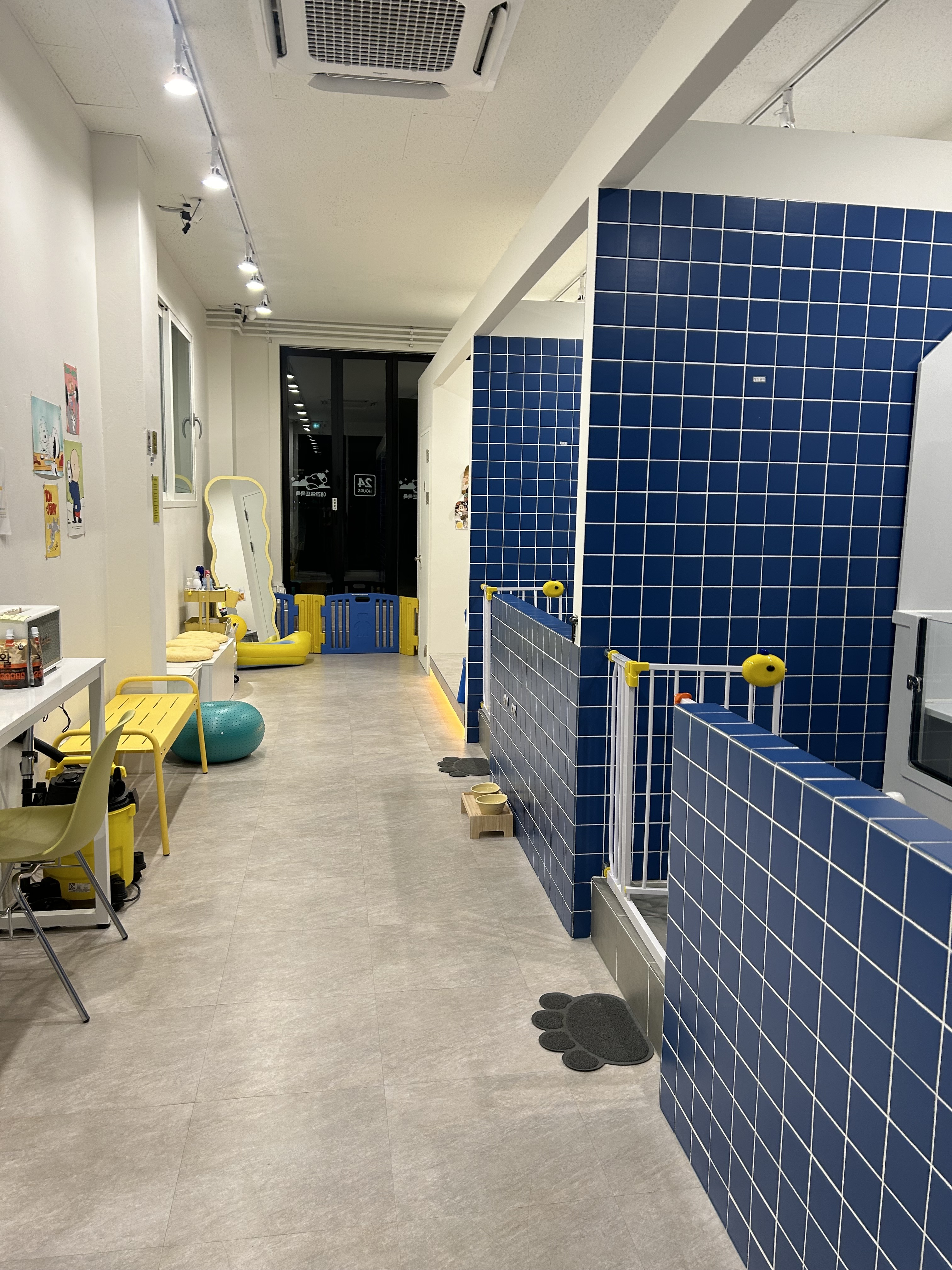 더빛나개 대표 이미지