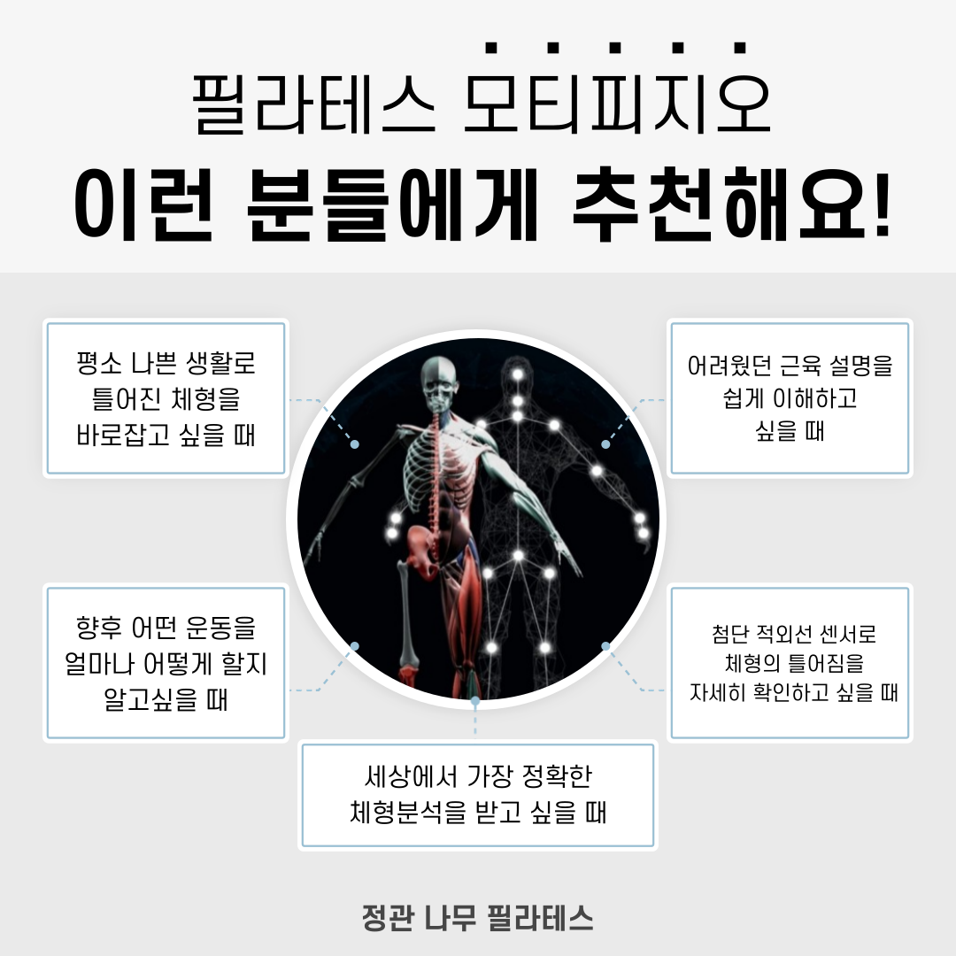 정관 나무필라테스 대표 이미지