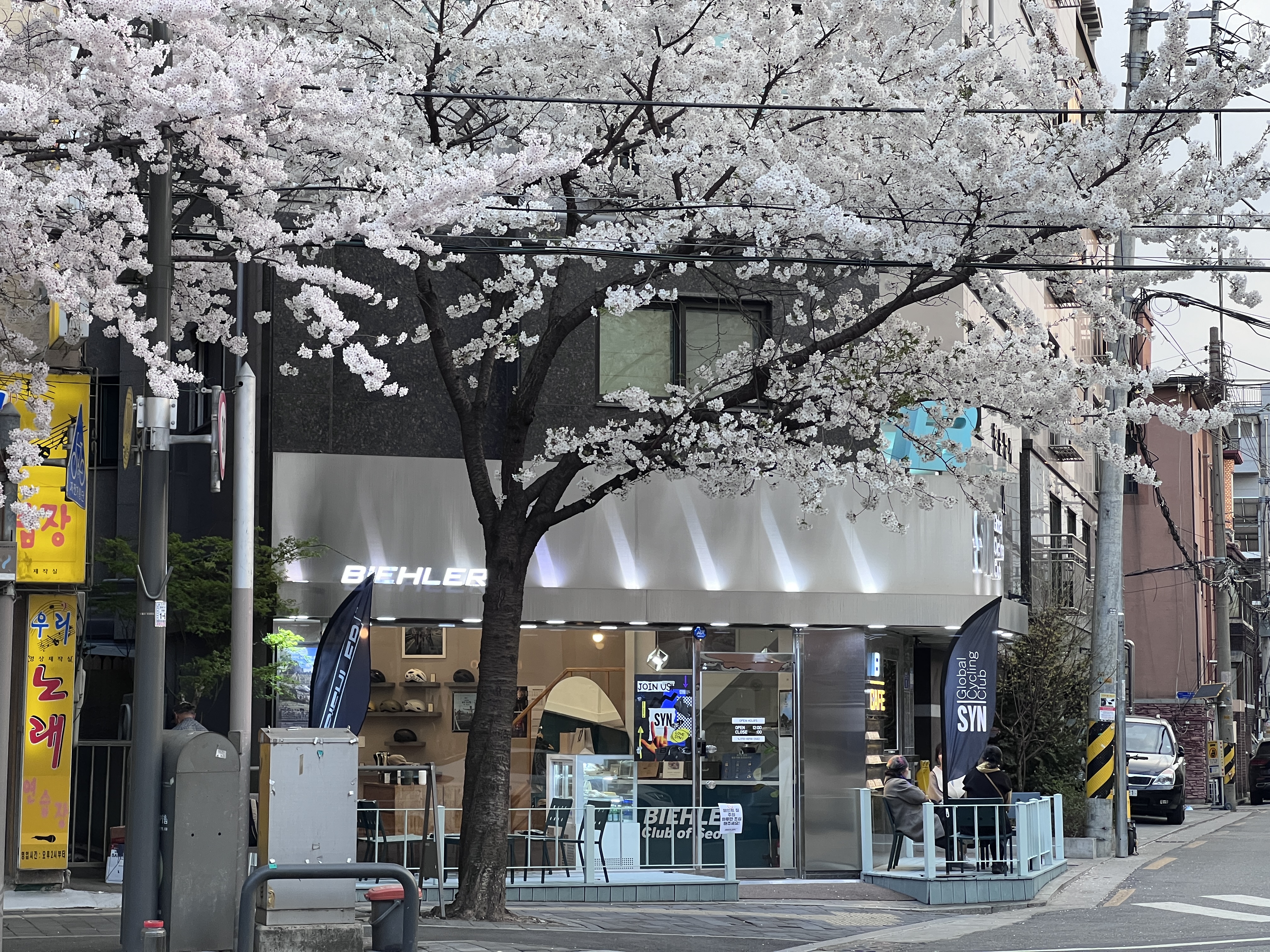 빌러클럽오브서울 대표 이미지