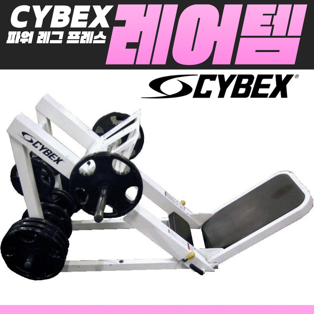 넥스트짐 용인기흥구청점 헬스 PT