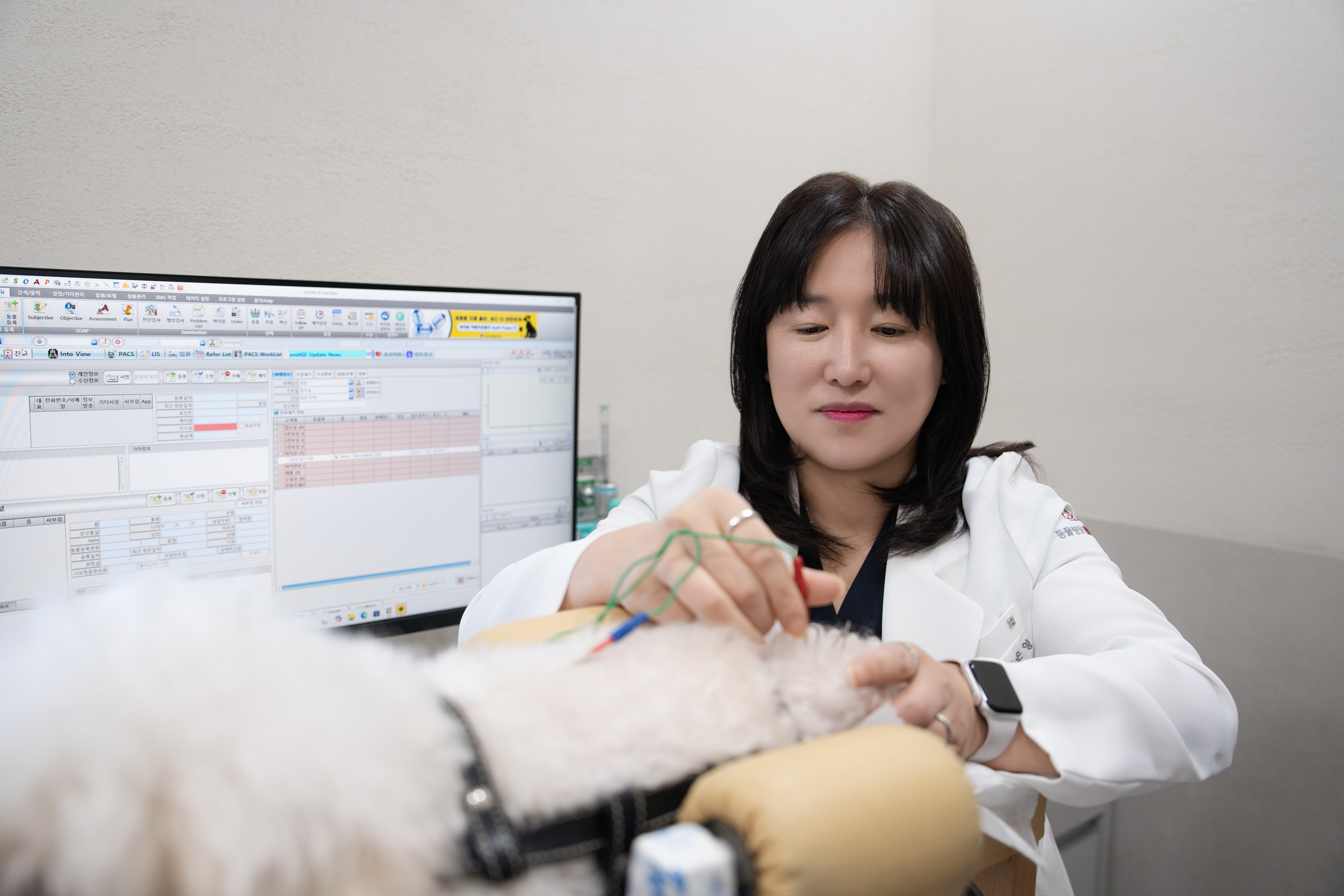 여기로양한방동물병원 대표 이미지